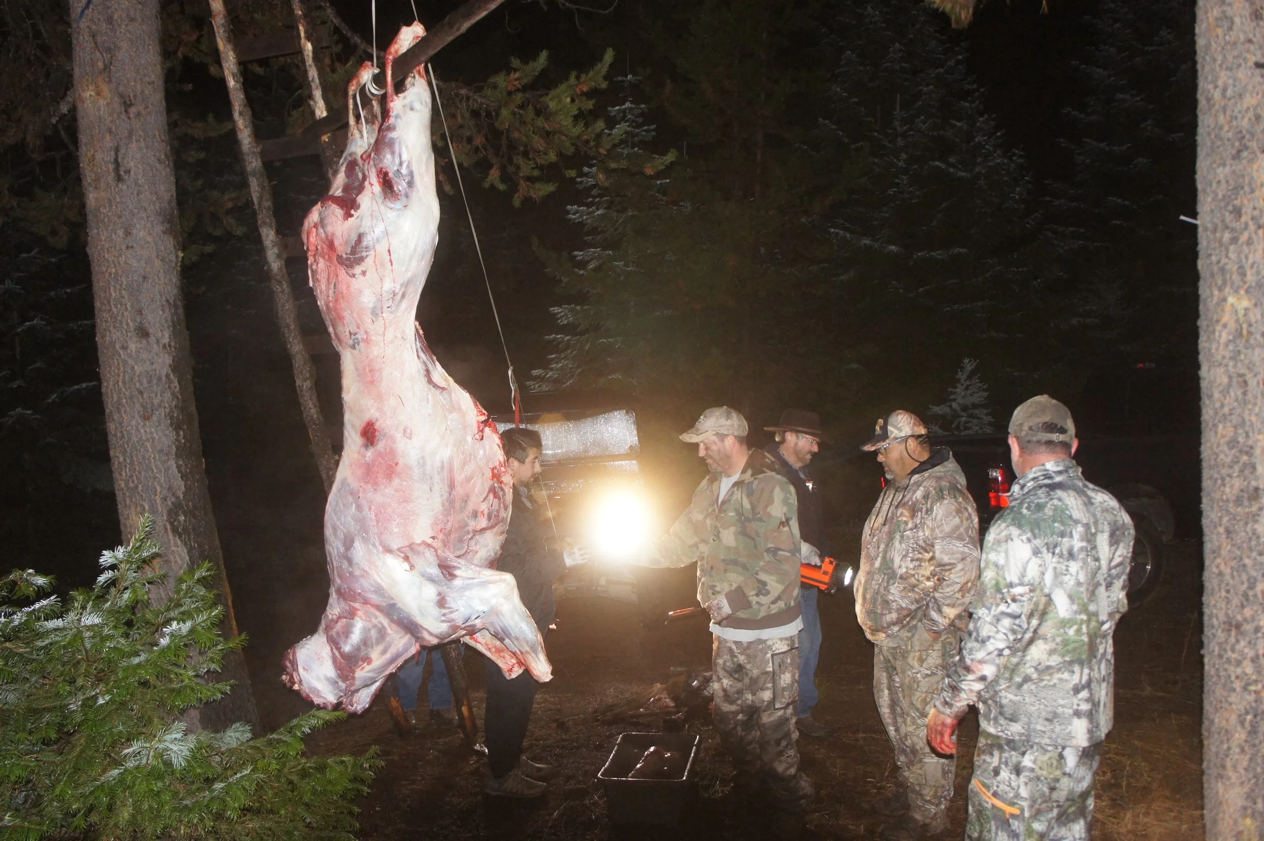 Tims Camera 2017 389.JPG