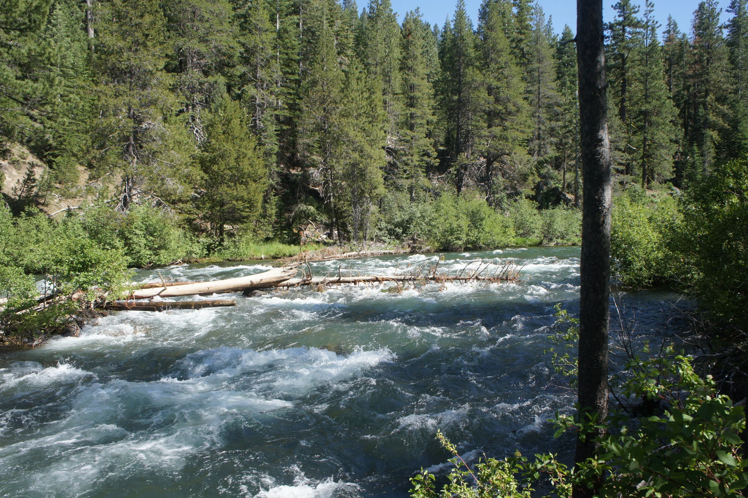 Truckee River, CA