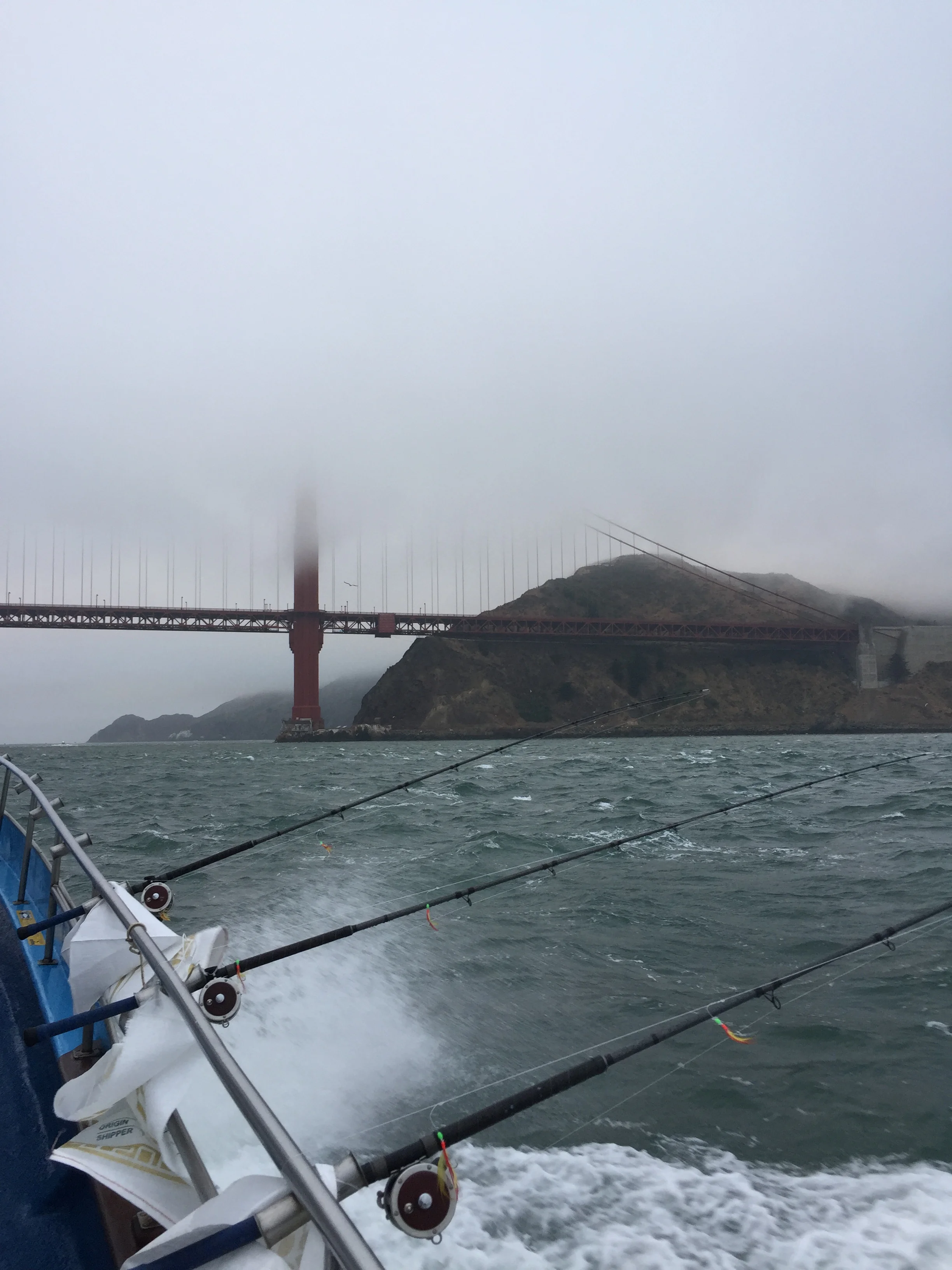 Tims Iphone 10-9-2017 438.JPG