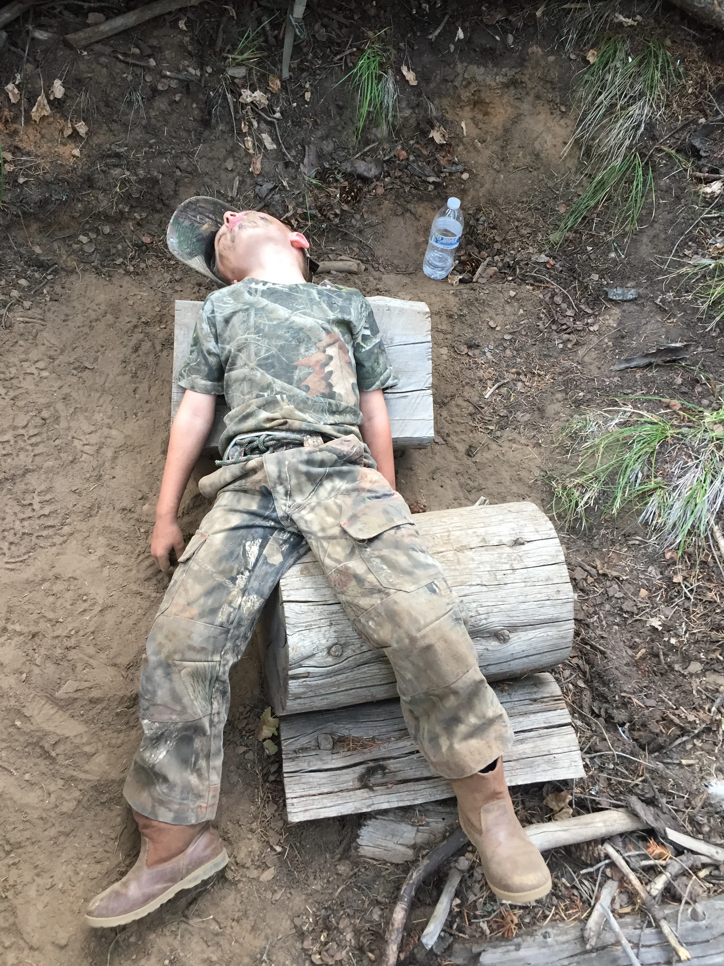 Sleeping in the stand