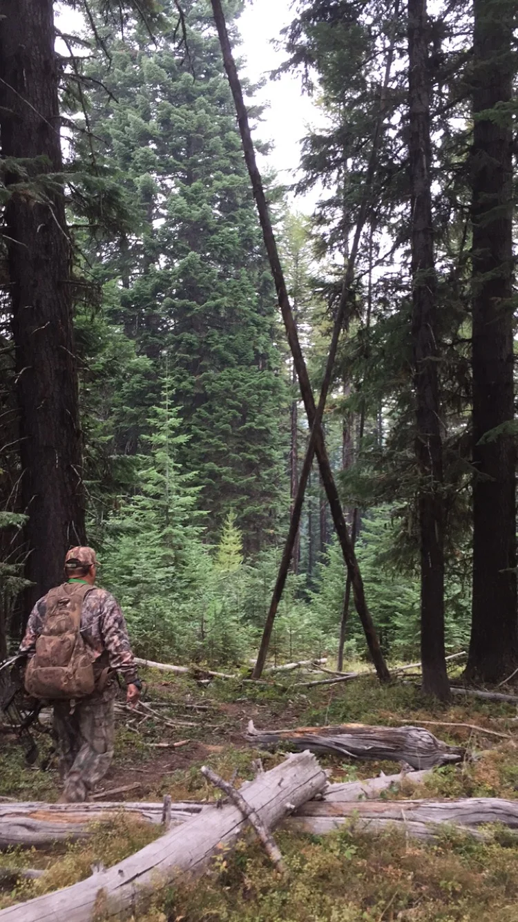 Tims Iphone 10-9-2017 610.JPG