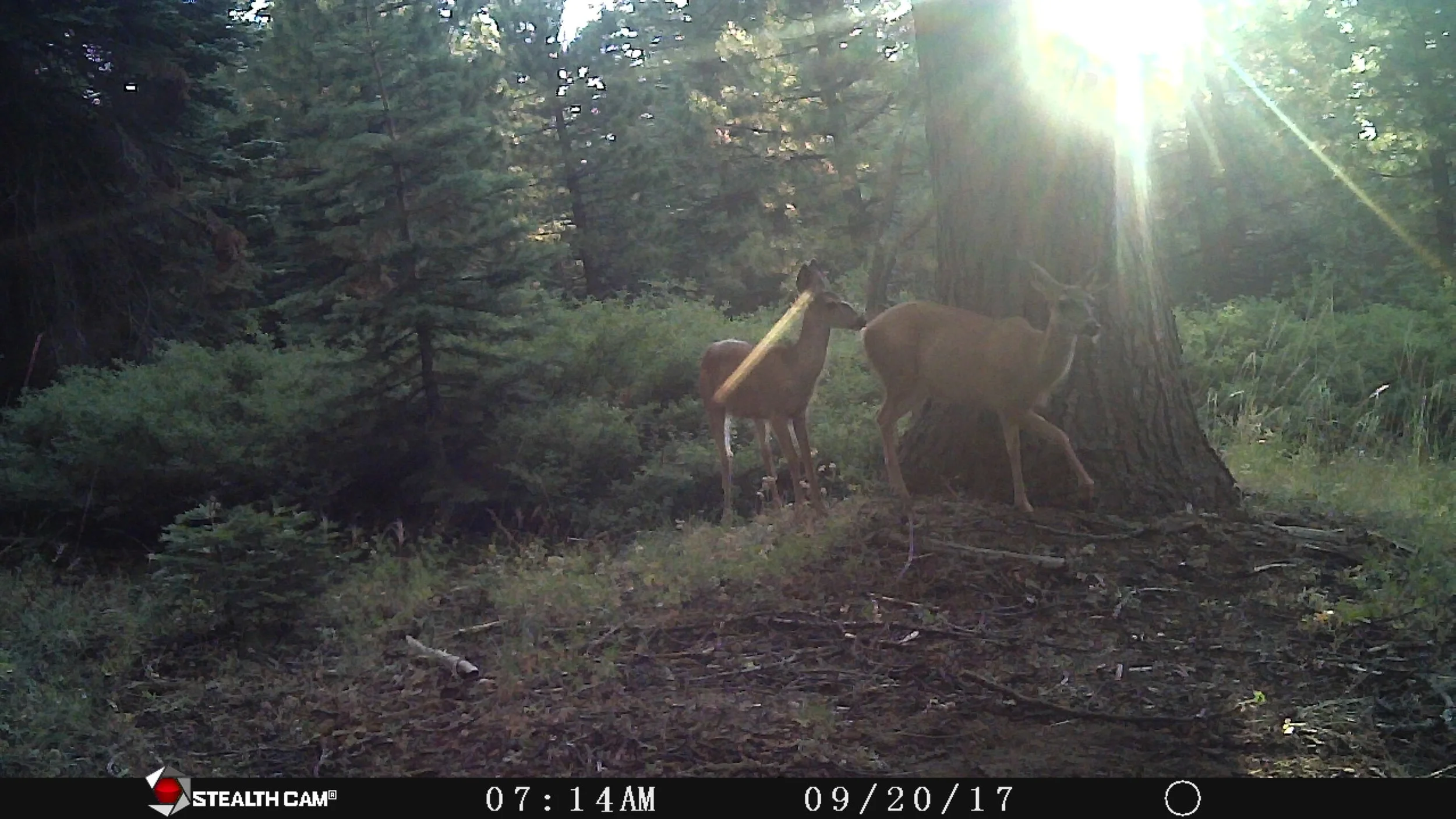 Tims Iphone 10-9-2017 659.JPG