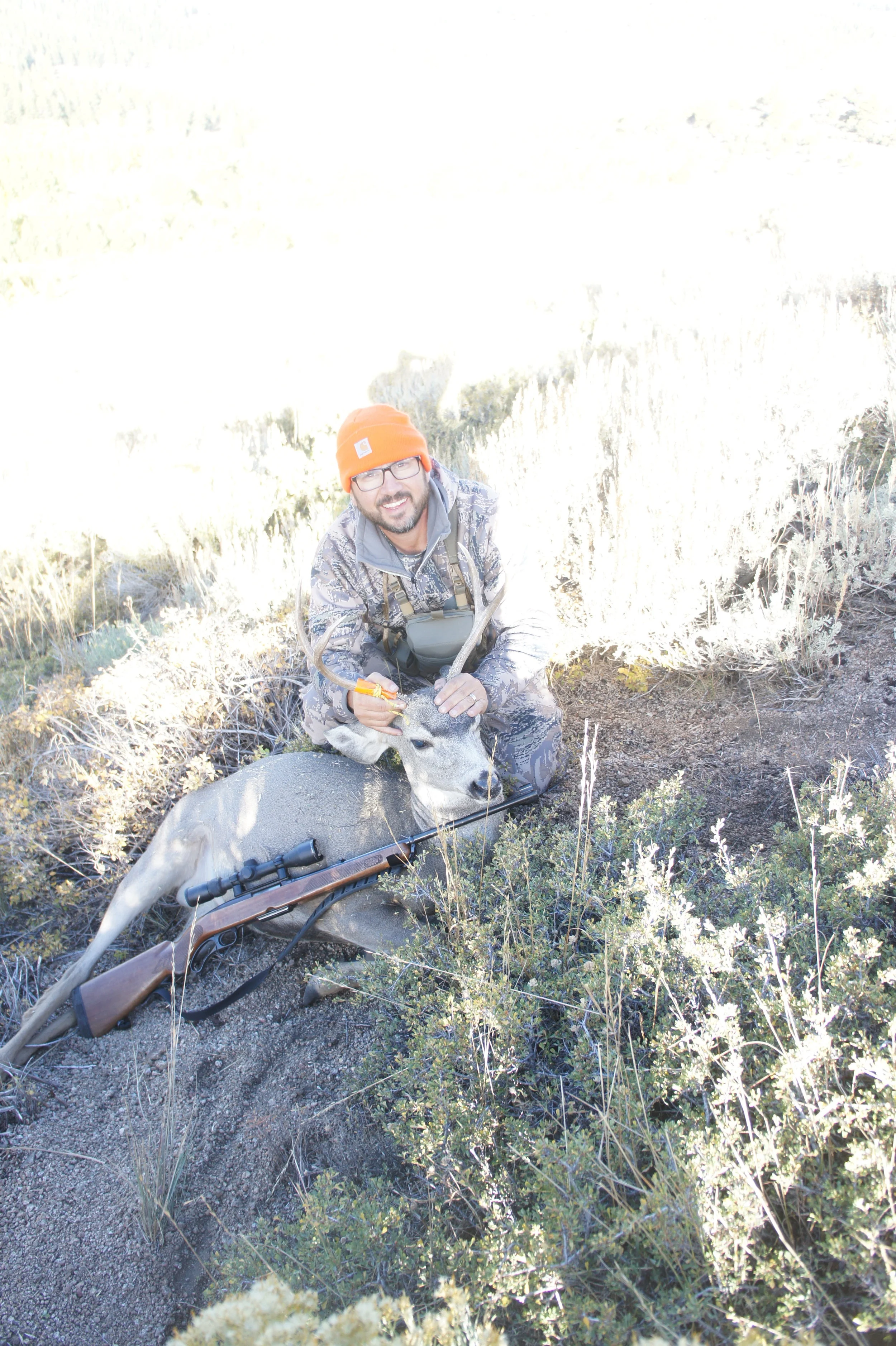 My First Mule Deer