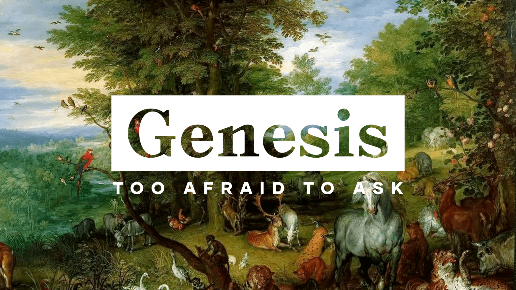 Genesis: Too Afraid To Ask