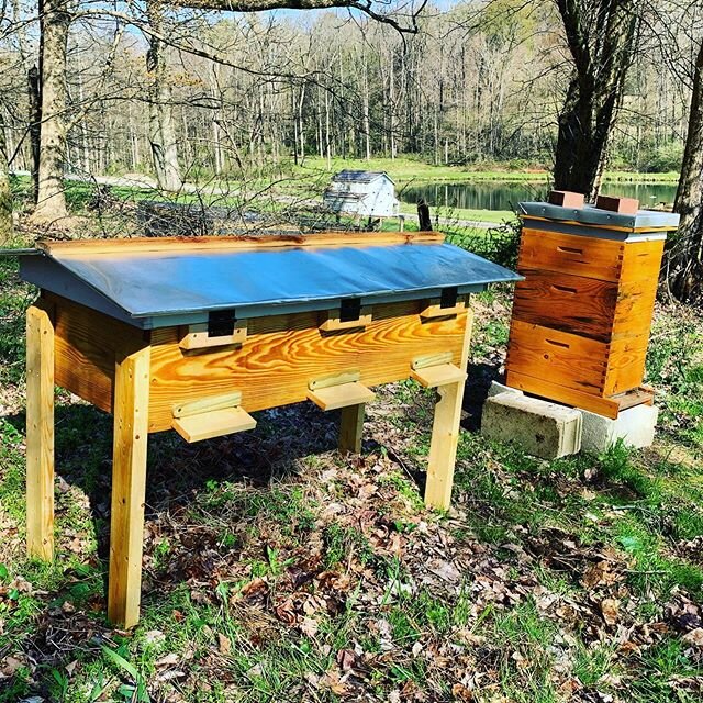 A new hive set up ready for a split from my strongest hive. #longlangstroth #beekeeping #beekeeper #woodworking #diy #backyardbeekeeping #backyardbees