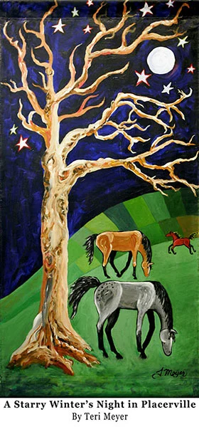 AStarryWinter'sNightinPlacerville.jpg