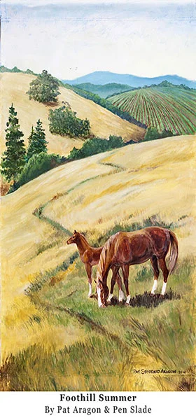 04-HM_FoothillSummer_Aragon.jpg