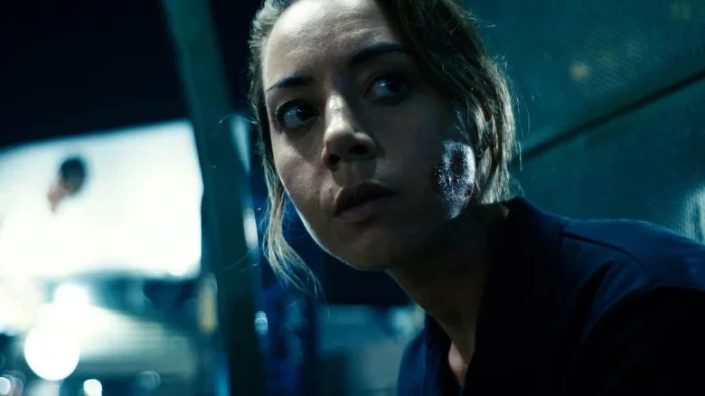 51725696747_1eaa478c22_o copy.jpeg