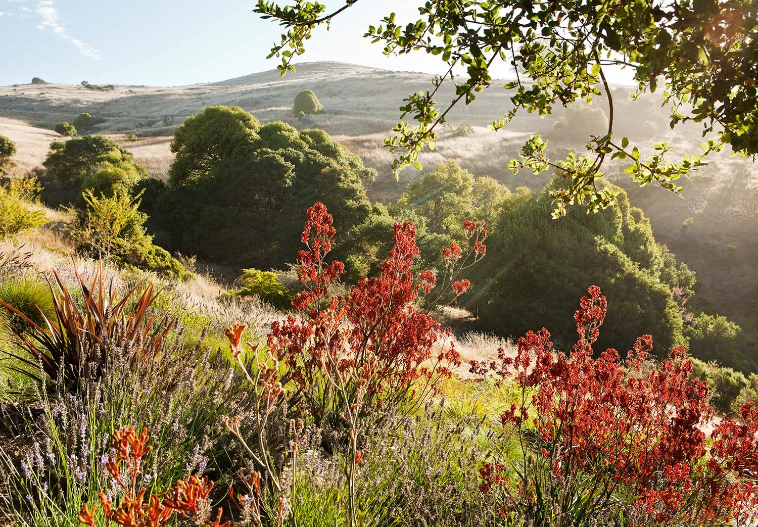 Arterra Landscape Architects