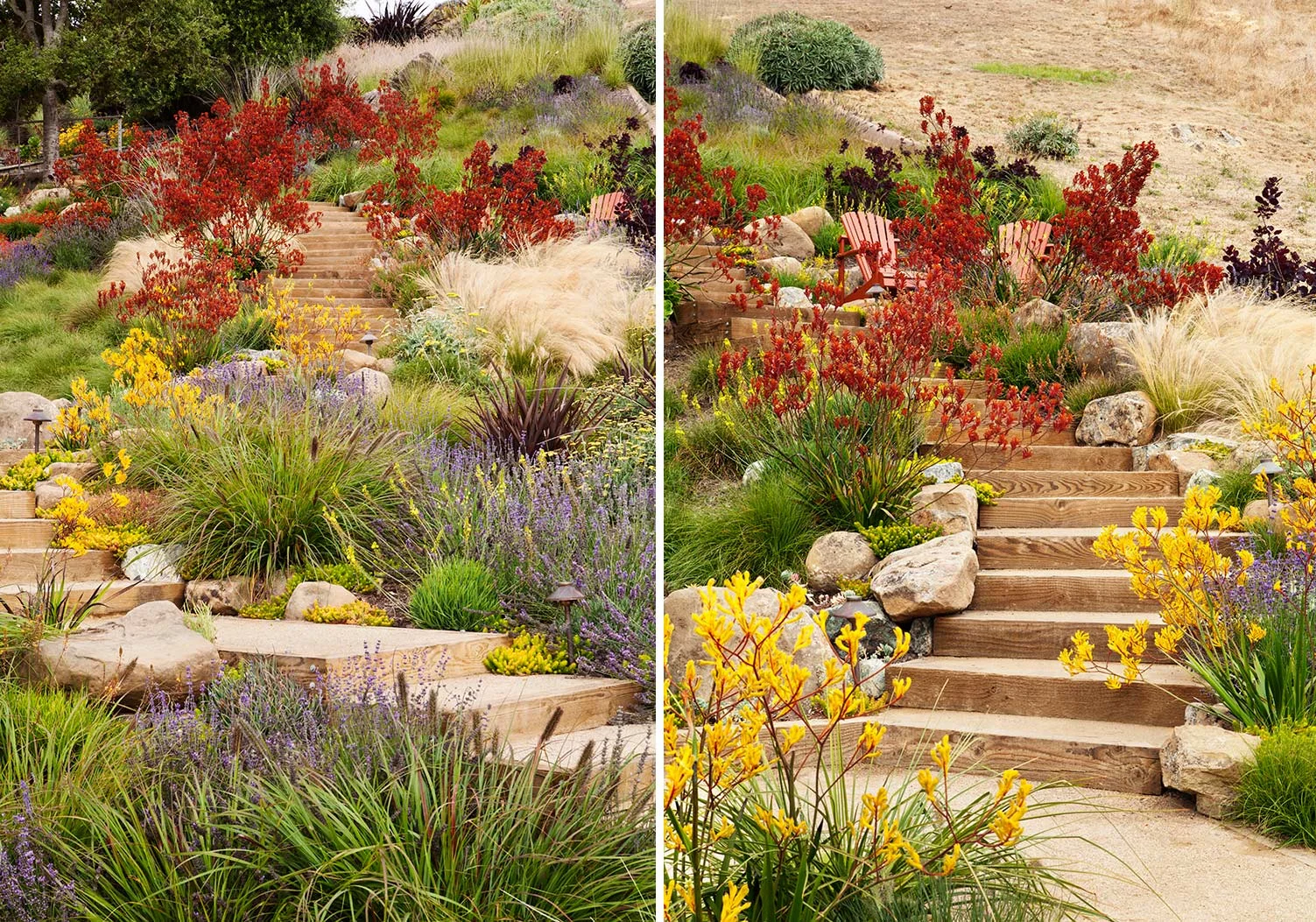 Arterra Landscape Architects