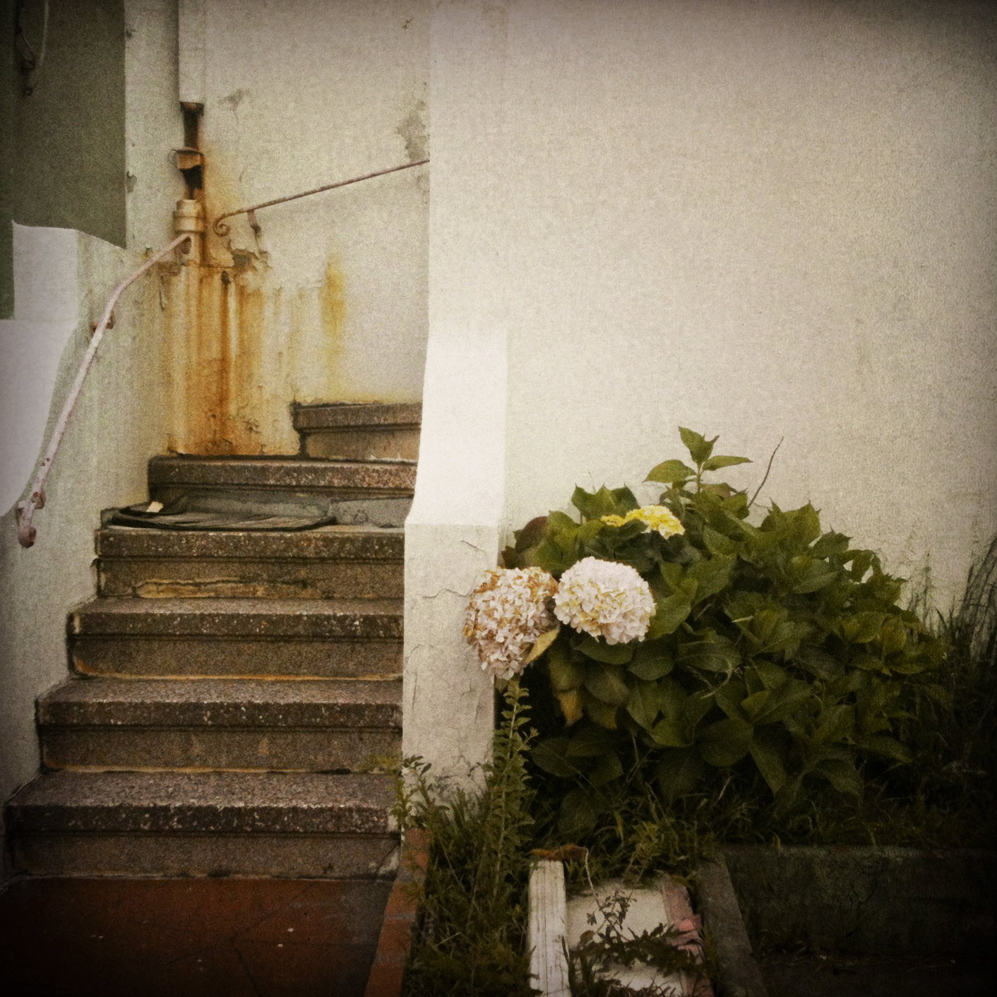   hush_stairs  