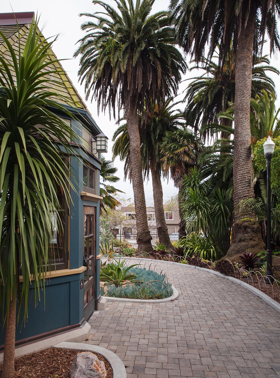   Arterra Landscape Architects  -  Sunnyside Conservatory, SF  