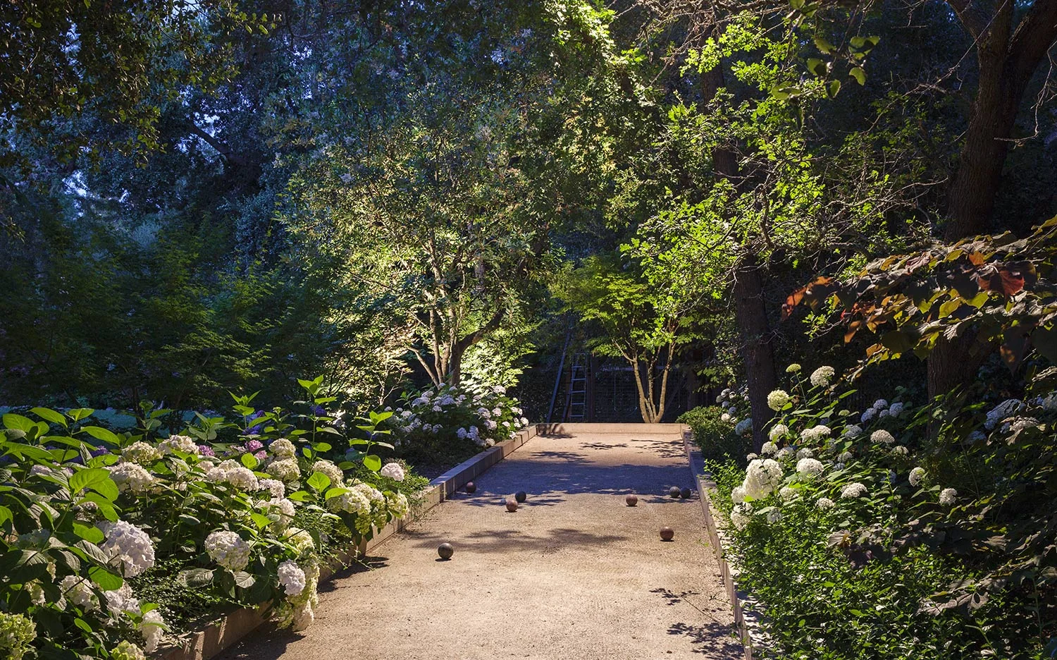 Elizabeth Everdell Garden Design
