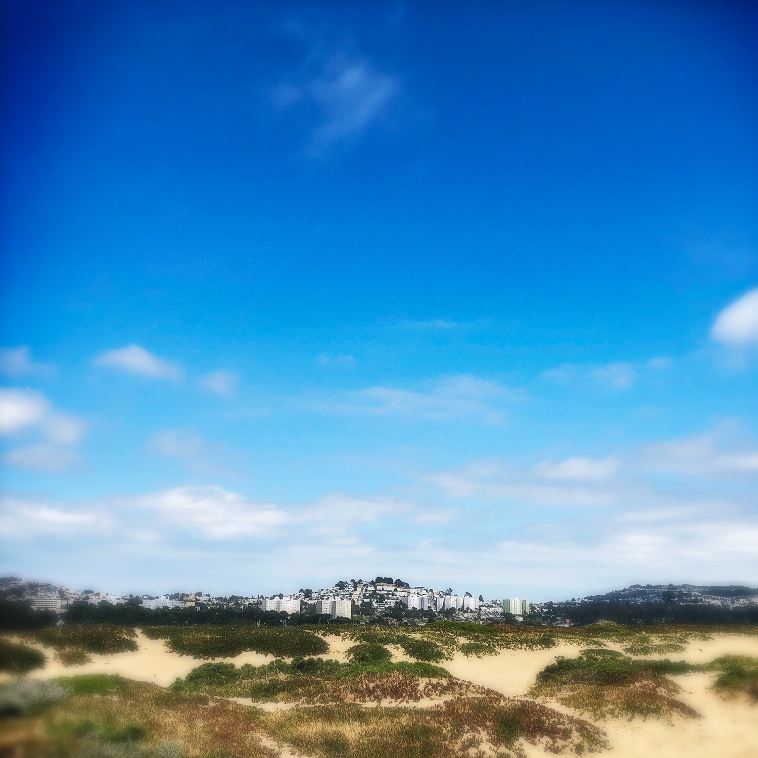   from fort funston  