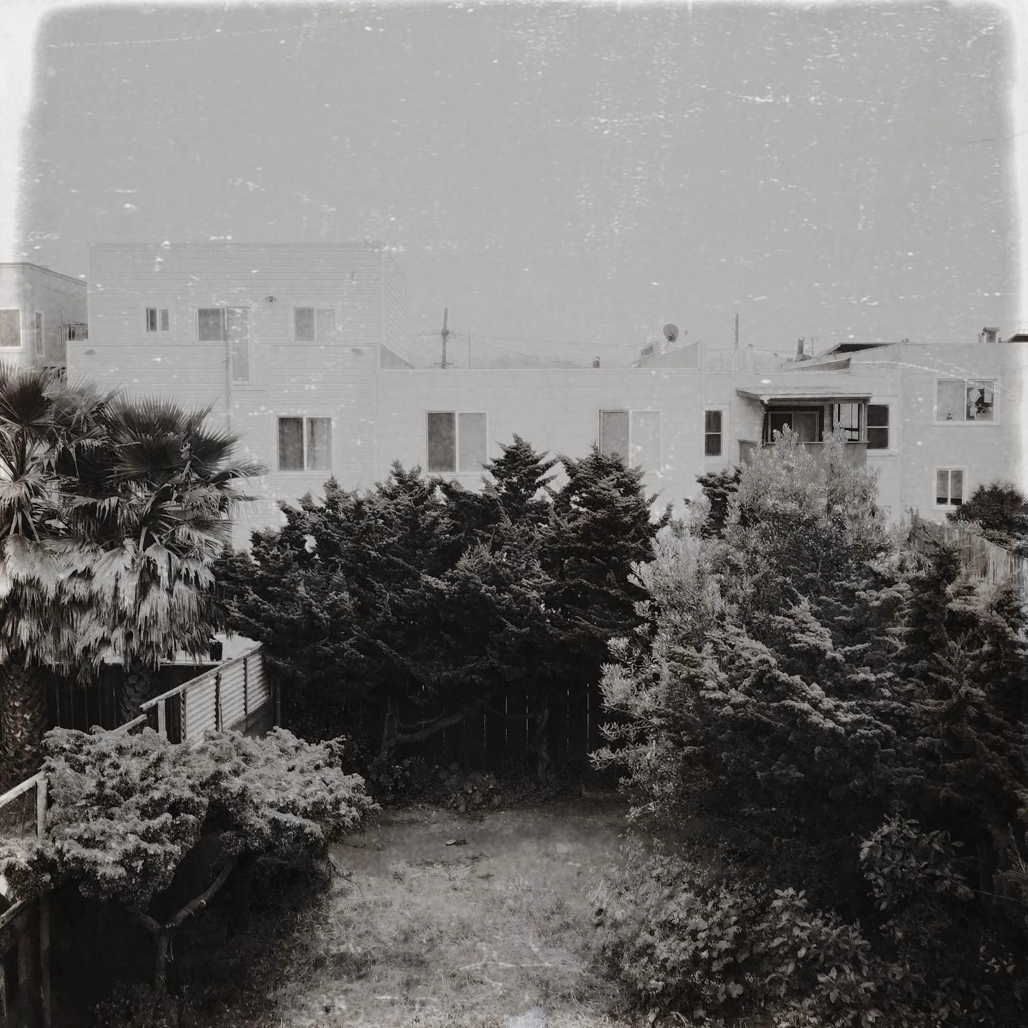 Backyard Study I