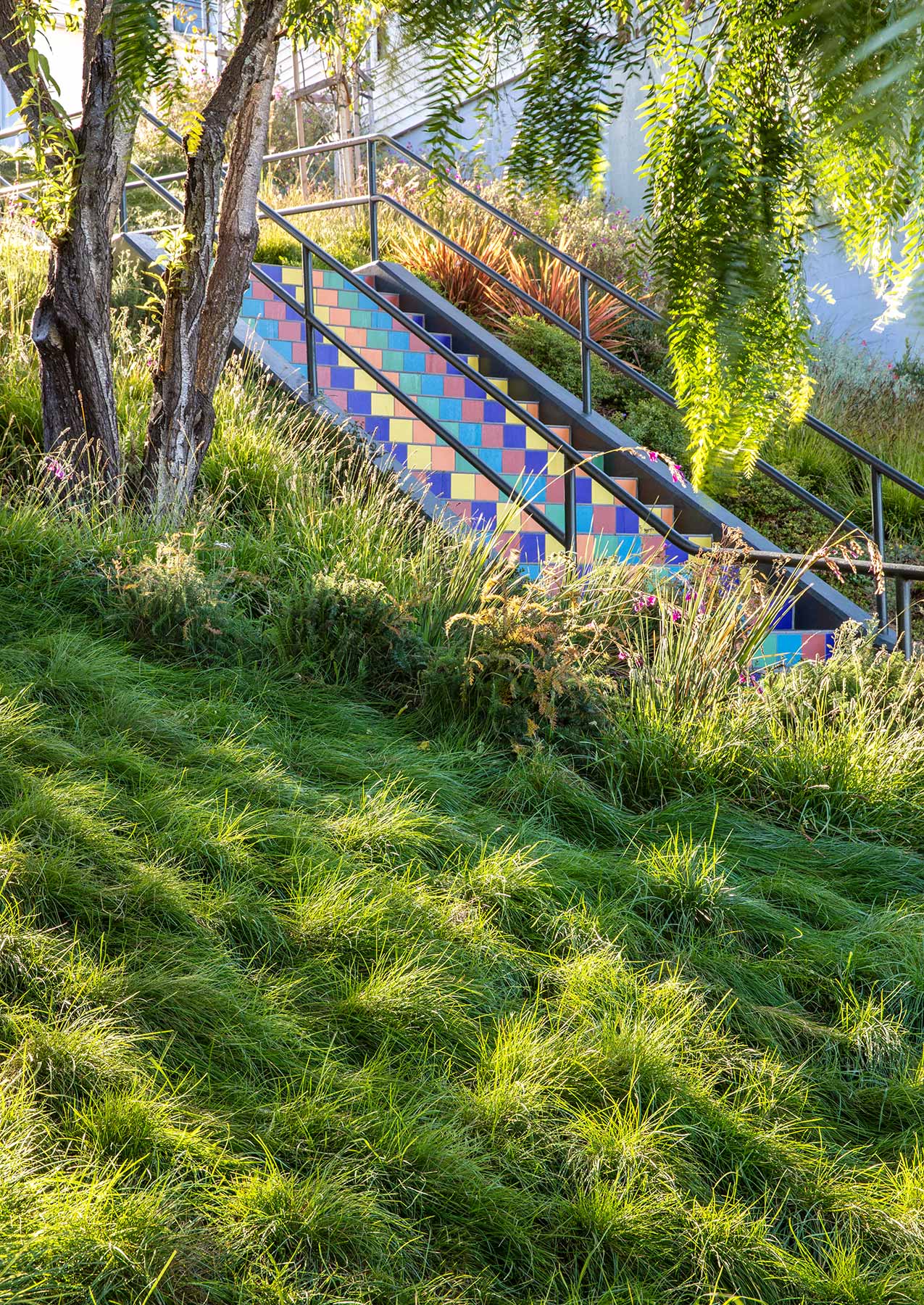   Arterra Landscape Architects  | Tompkins Stairs, SF 