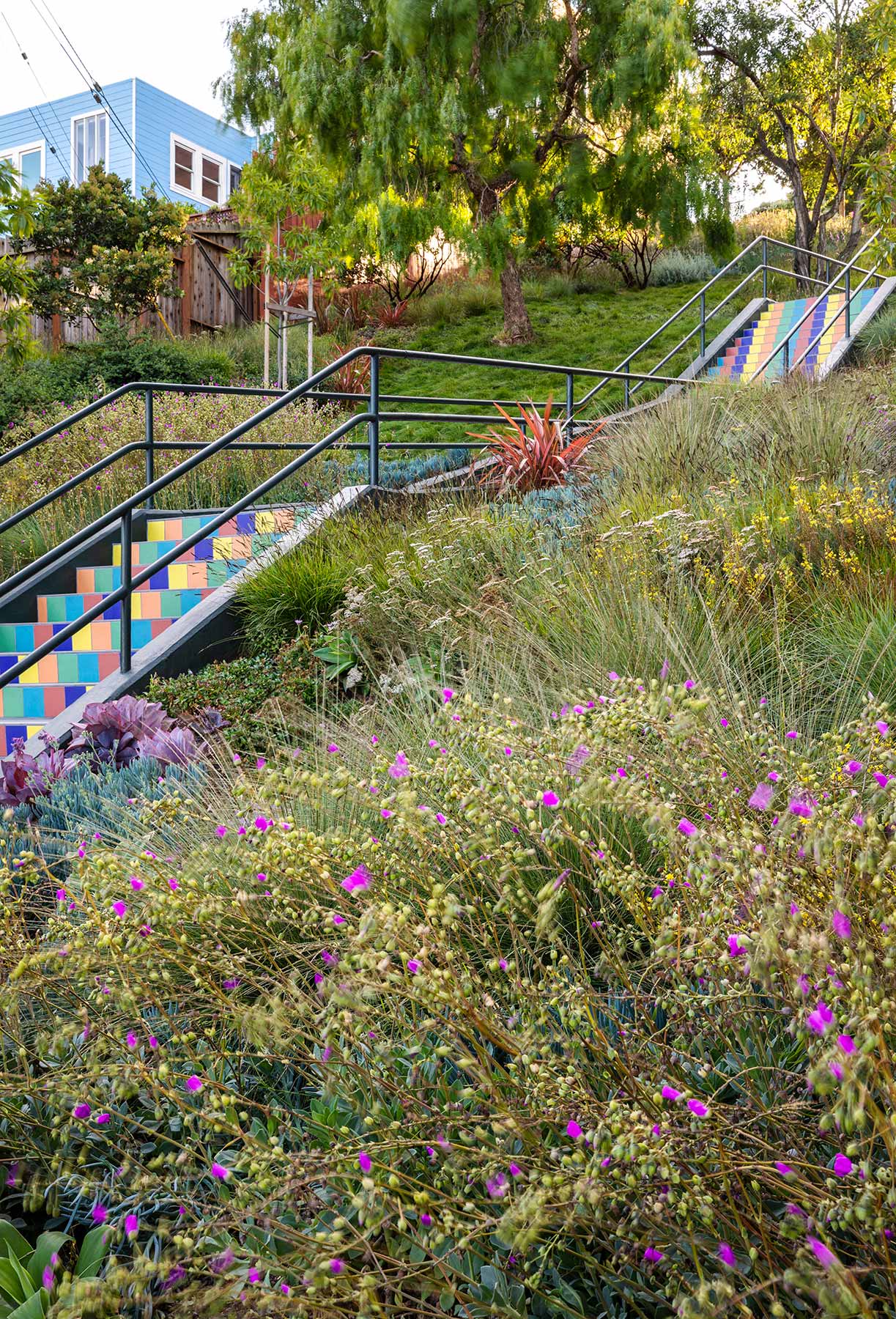   Arterra Landscape Architects  | Tompkins Stairs, SF 