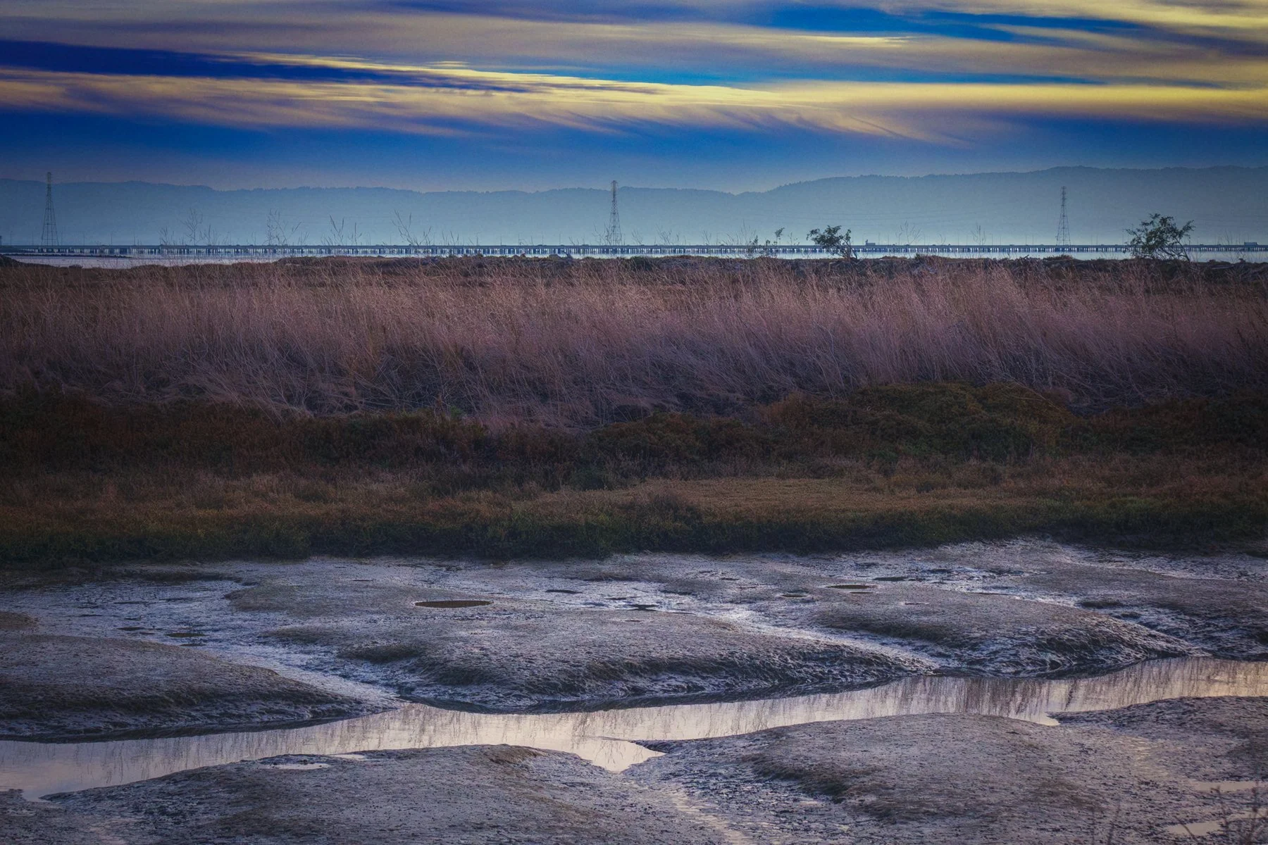   Hayward Regional Shoreline  