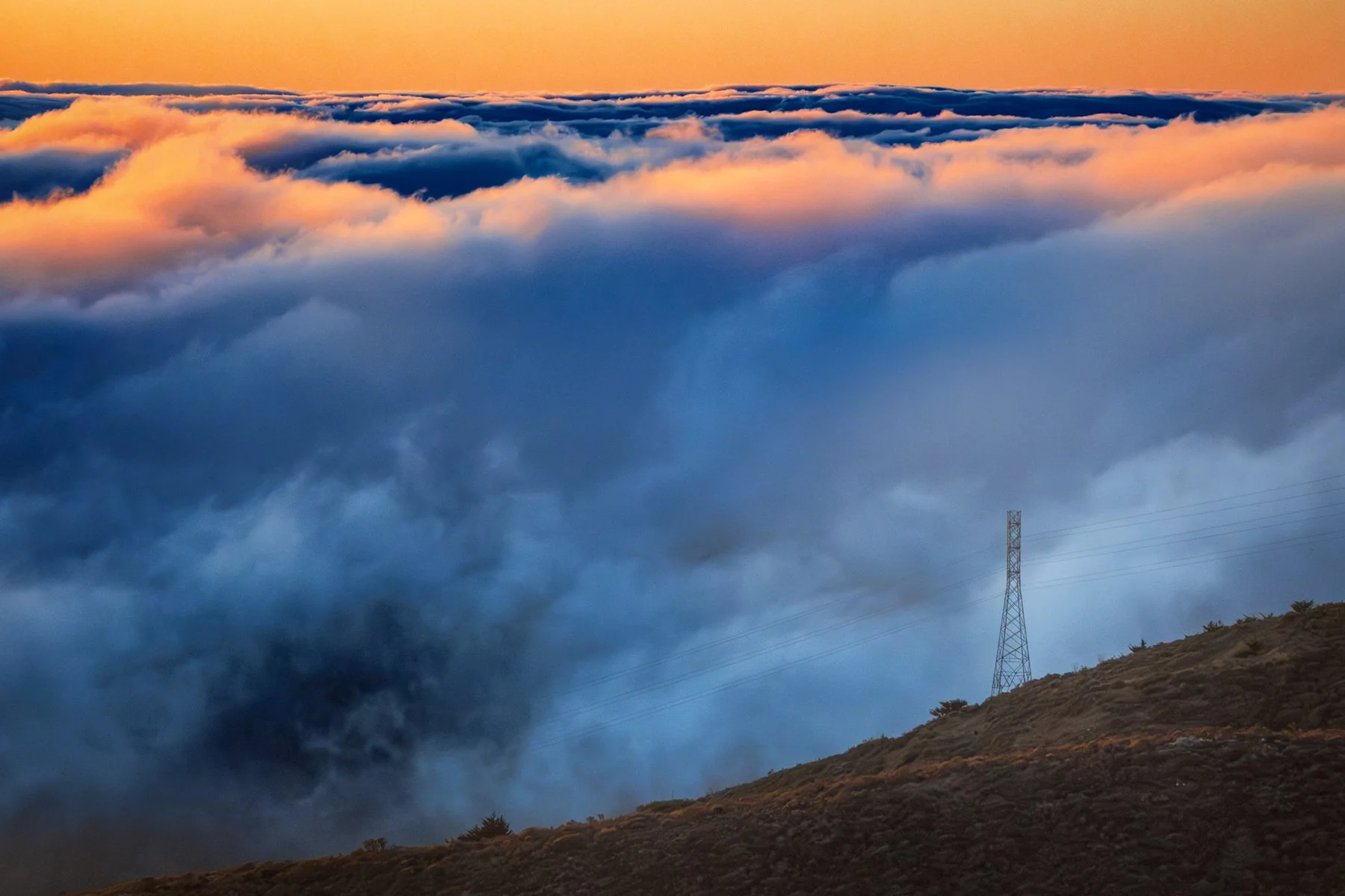   San Bruno Mountain State &amp; County Park  
