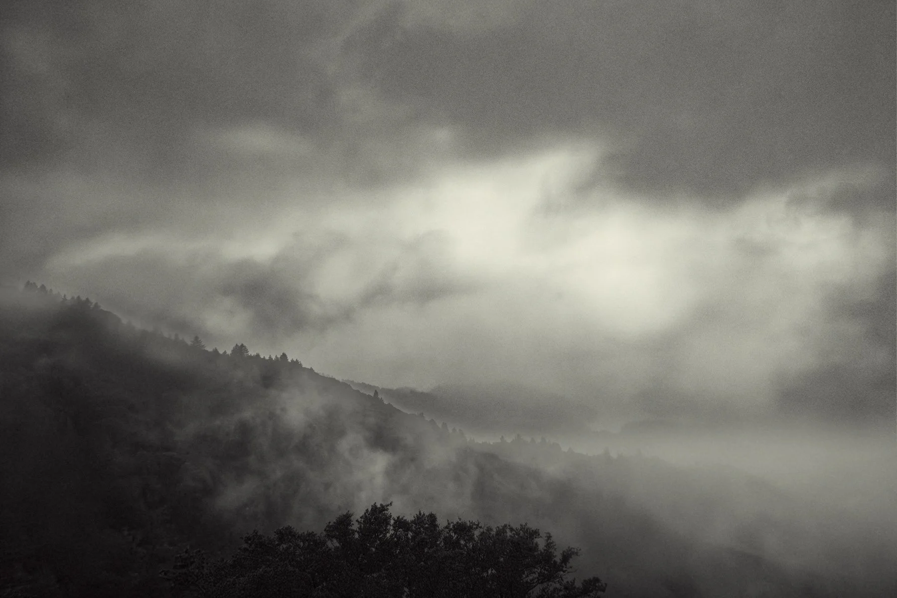   Mount Tamalpais State Park  