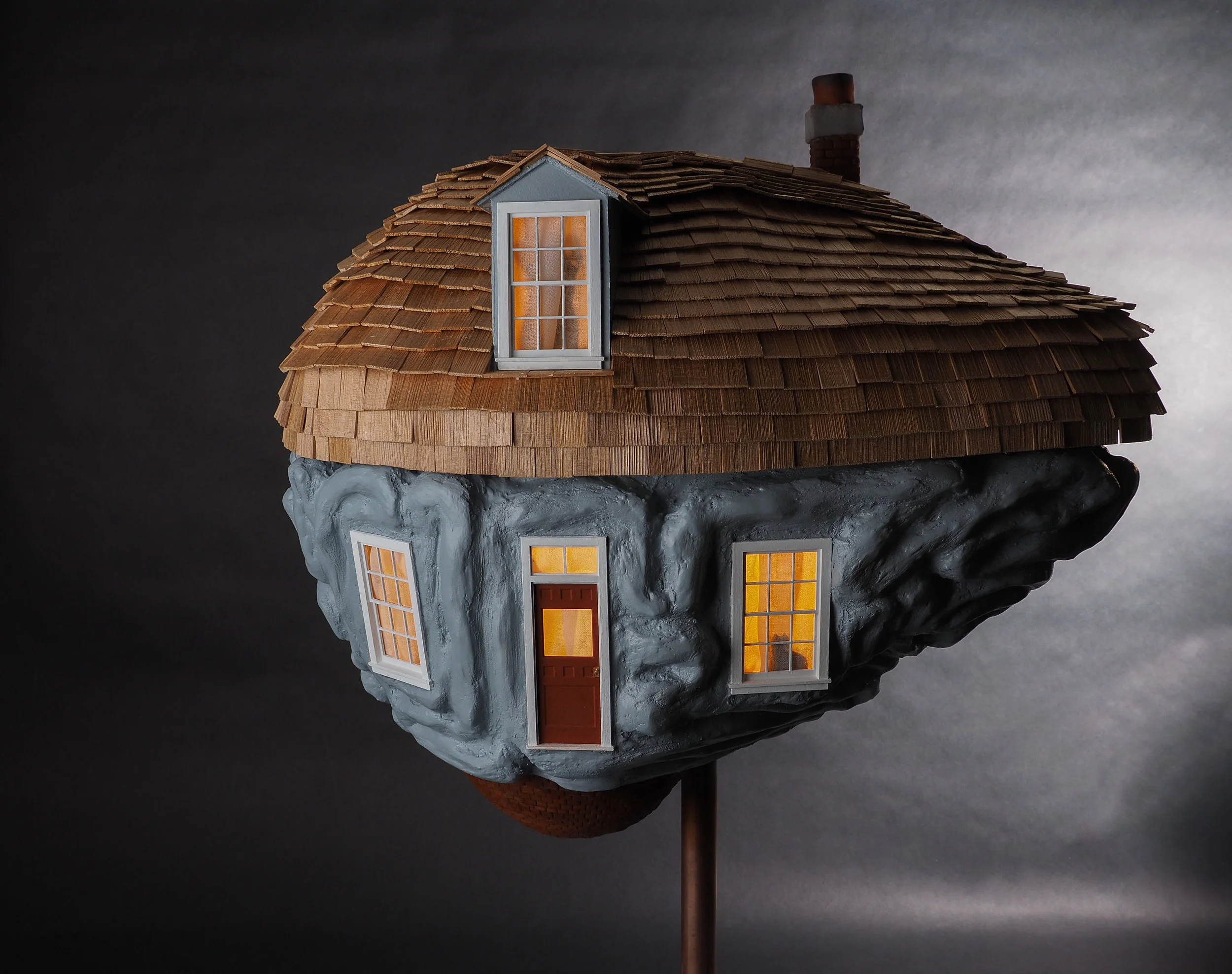 The Brain Project &nbsp;- 2017 &nbsp;to raise funds for Baycrest Health Sciences,