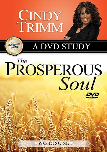 The Prosperous Soul DVD Study and Leader's Guide