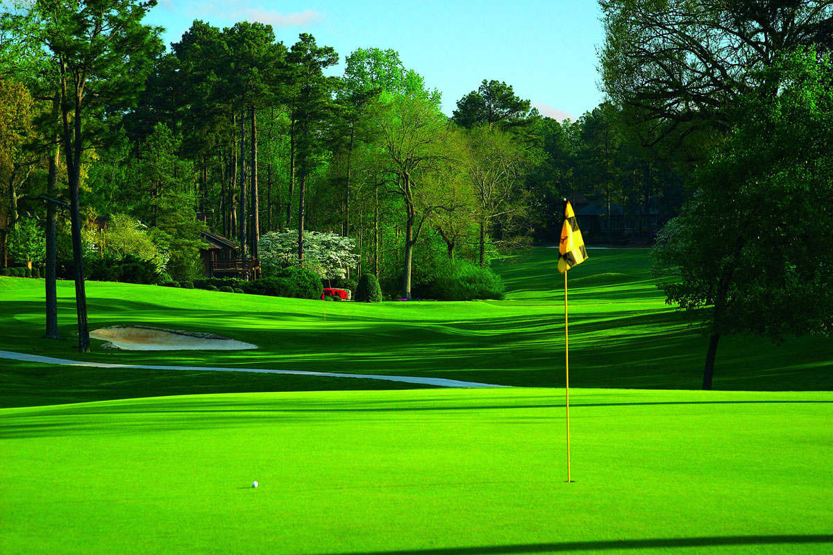 Pinehurst 3.jpg