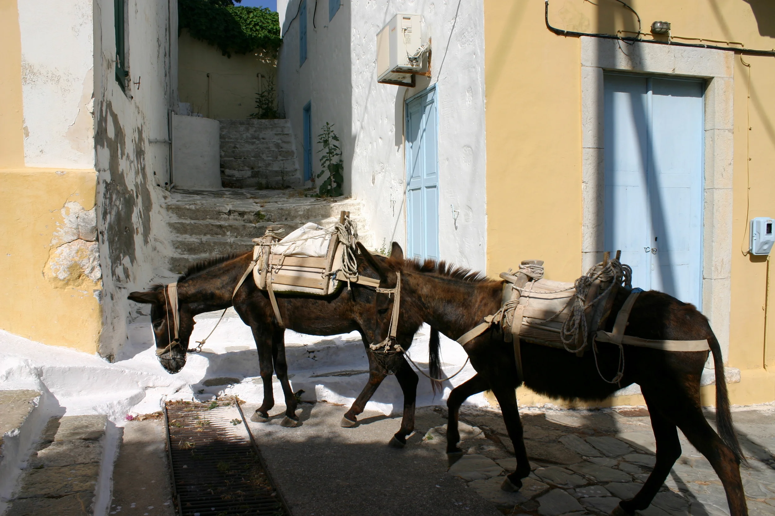 Olives, Octopus, Ocean Oracles // Greek Islands