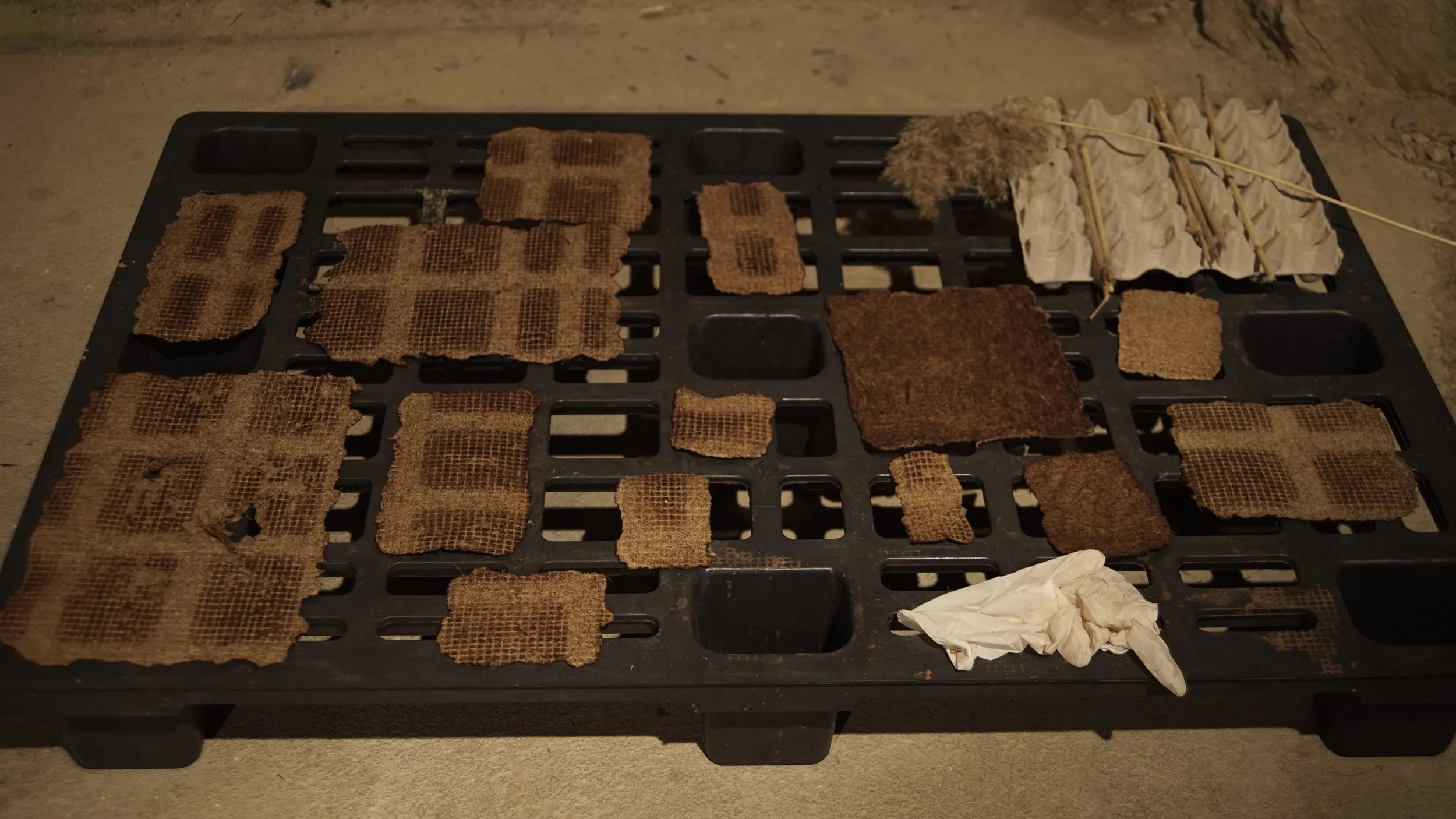  photo by Selu Herraiz 