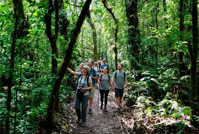Exploring the Nosara Biological Reserve: A Hidden Gem Near Playa Guiones