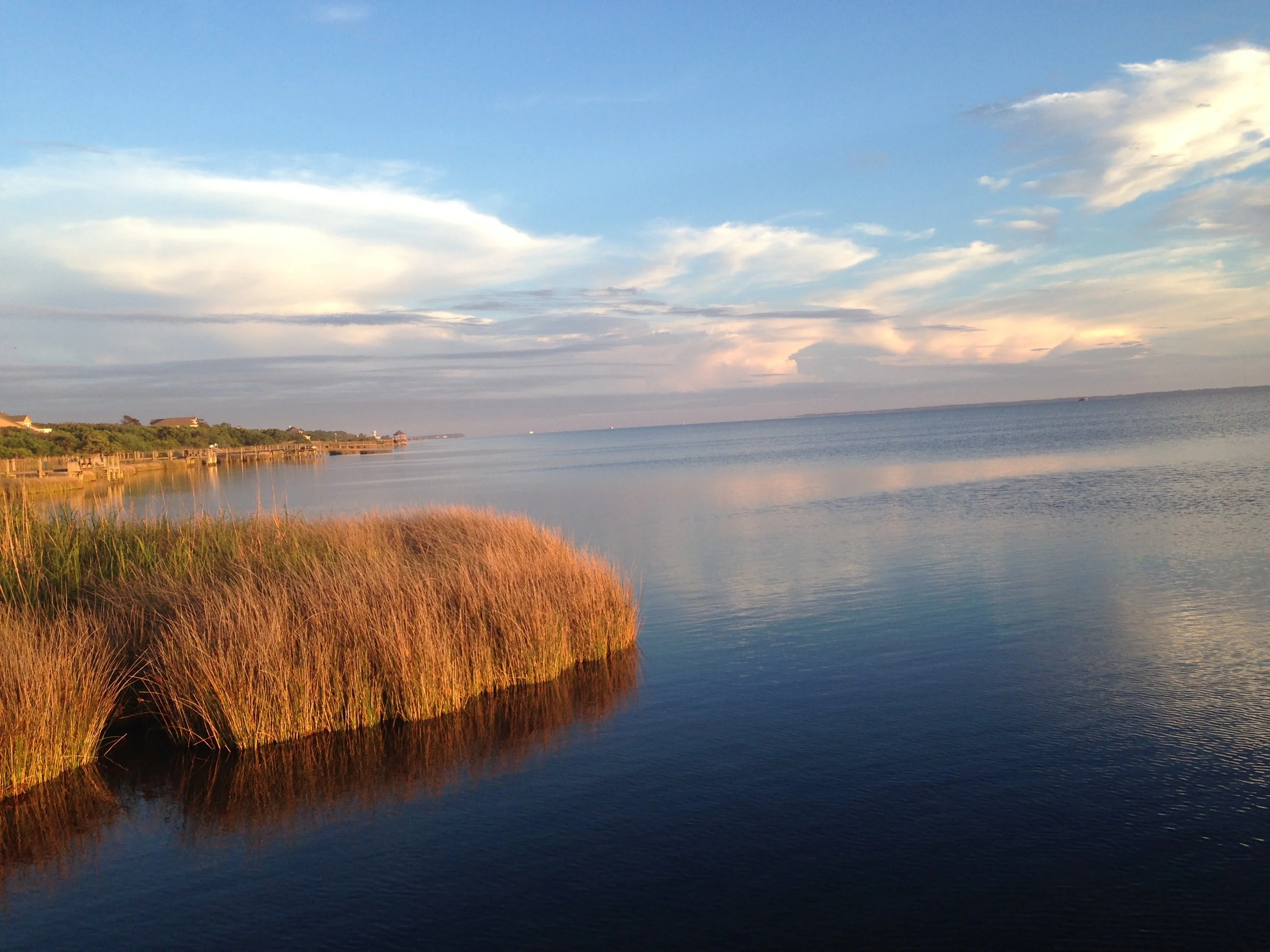 LPC Summer Water.JPG