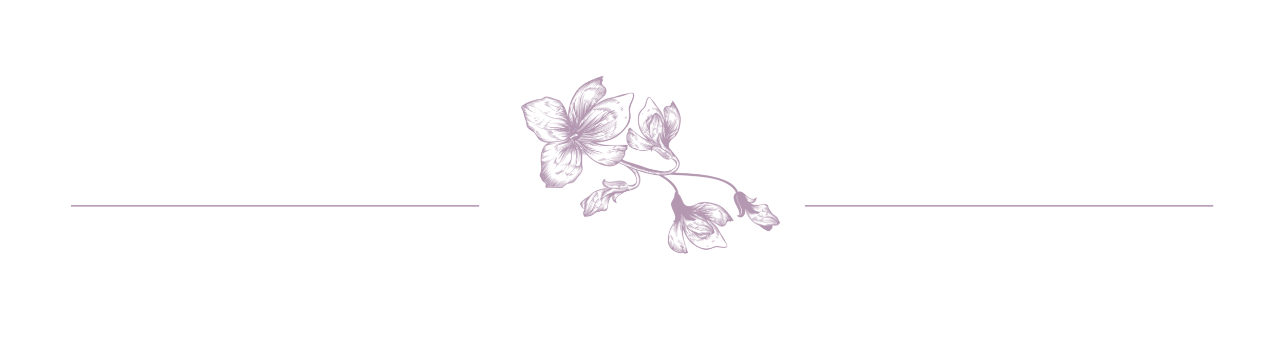 Rib Graphics lines-02.png