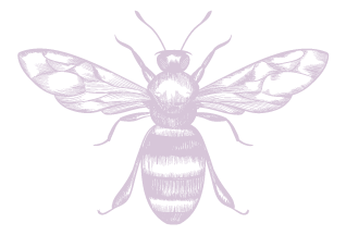 Rib Graphics-05.png