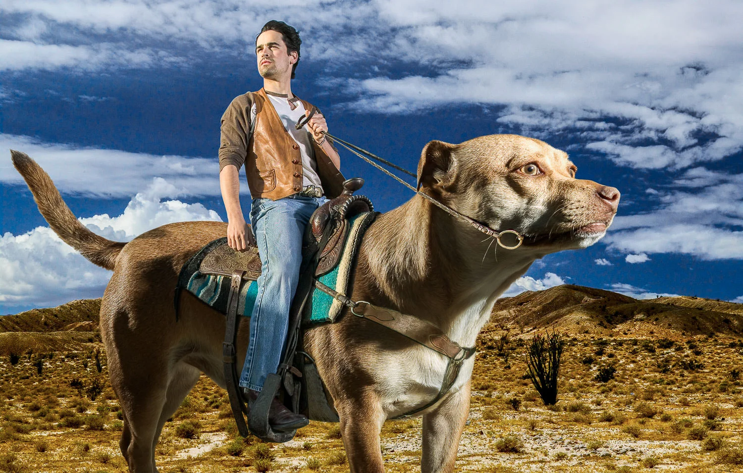 JESSE BRADFORD – RIDE 'EM CATBOY
