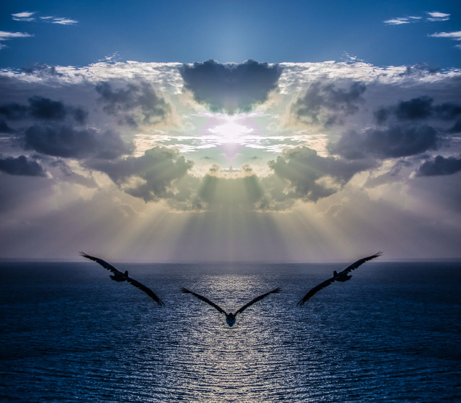 Pelicans Soaring to the Mother Ship , Not photocomposition, just a single mirror flip 2016 medium dimensions CLICK HERE TO ORDER OR INQUIRE