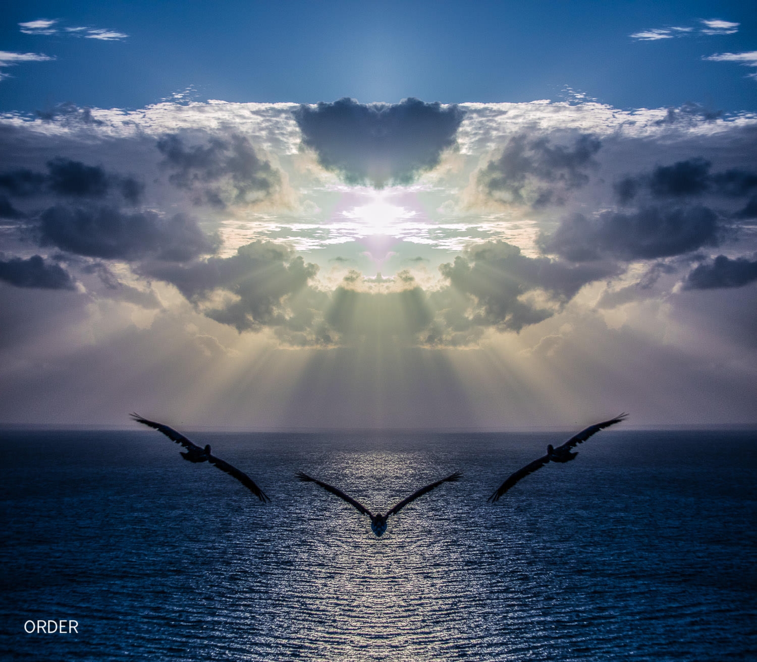 Pelicans Soaring to the Mother Ship, Not photocomposition, just a single mirror flip