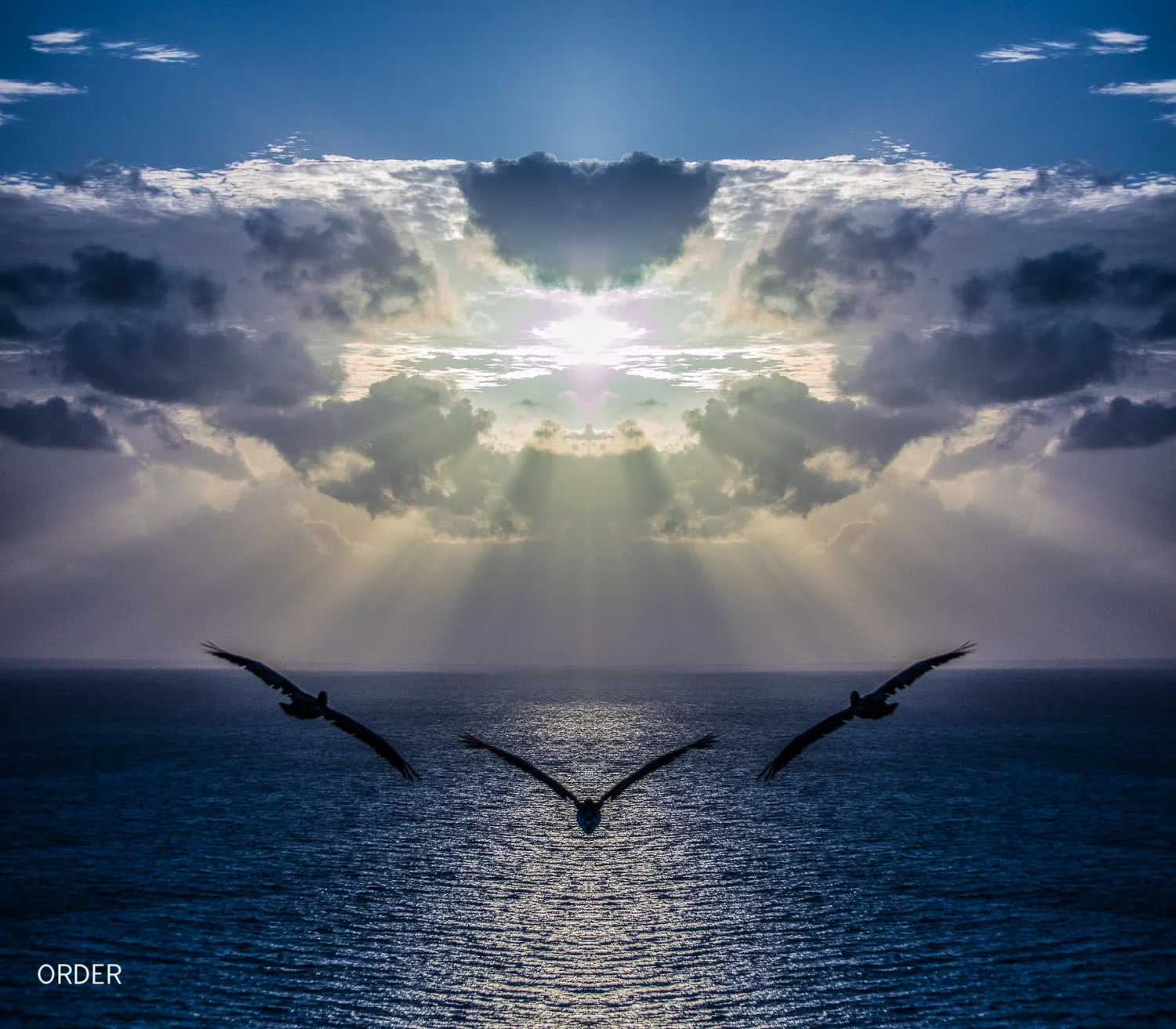Pelicans Soaring to the Mother Ship, Not photocomposition, just a single mirror flip