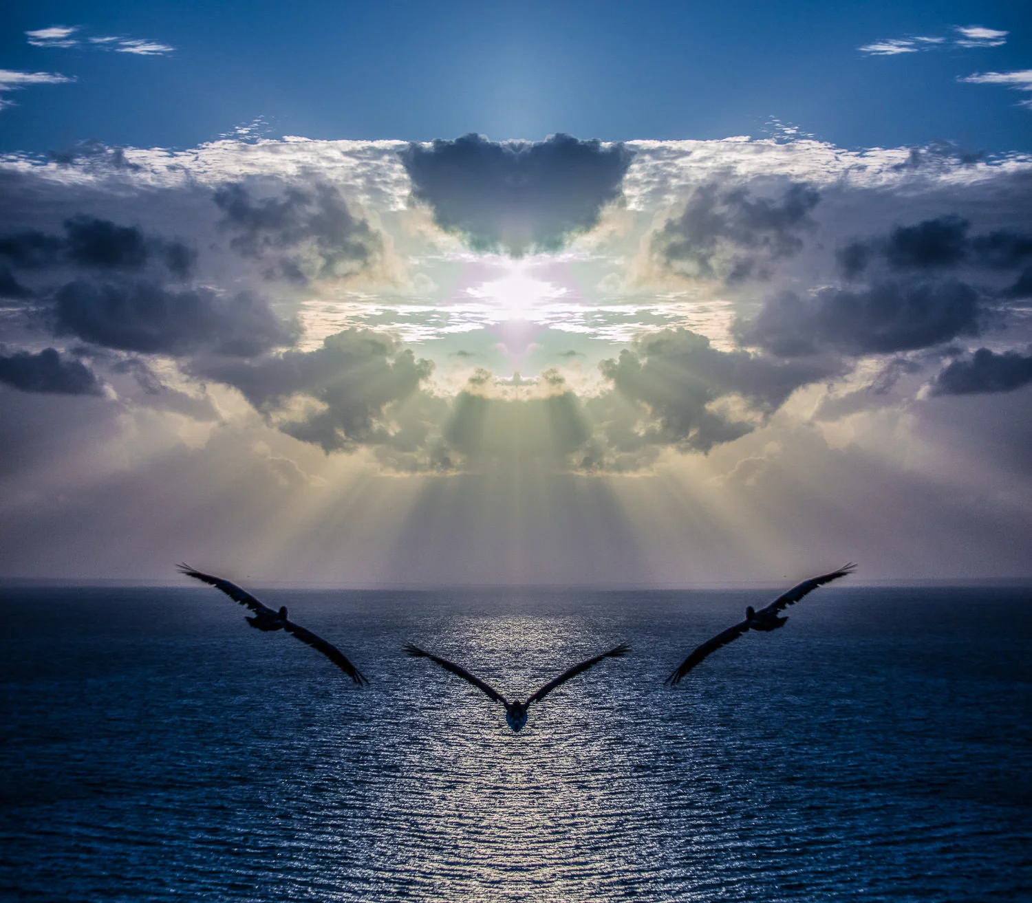   Pelicans soaring their way to the Mother Ship. No compositing here, just a single mirror flip.&nbsp;   2016, Signed Limited Edition of 20   CLICK HERE TO ORDER OR INQUIRE  