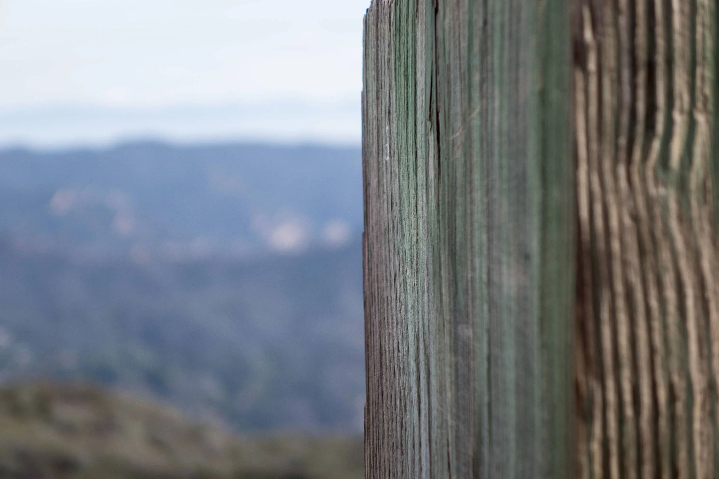 Natural Diptych #1 2014, Digital Image. Signed Limited Edition of 20 ORDER OR INQUIRE