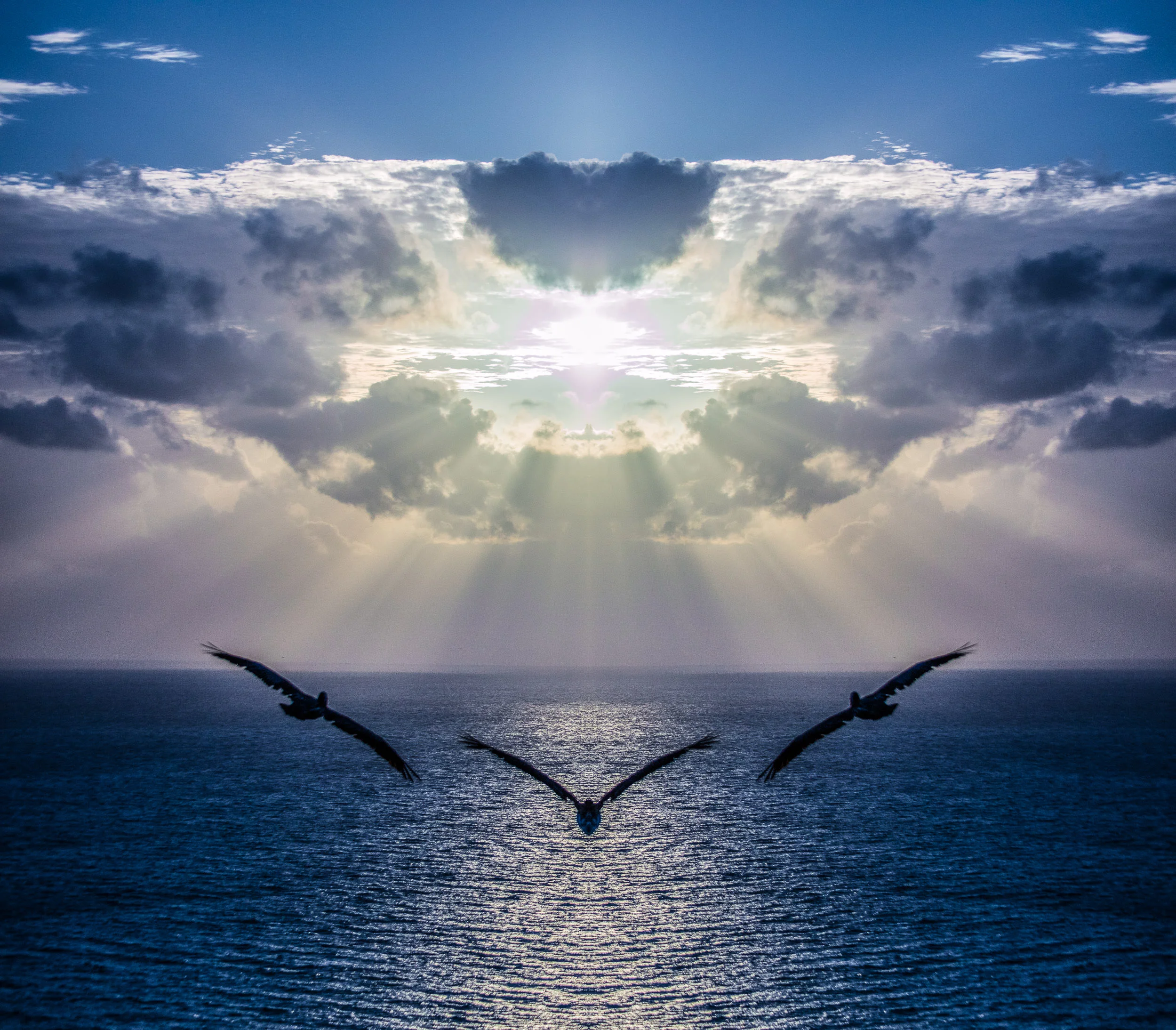 Pelicans soaring their way to the Mother Ship. No compositing here, just a single mirror flip. 2016, Signed Limited Edition of 20 ORDER OR INQUIRE