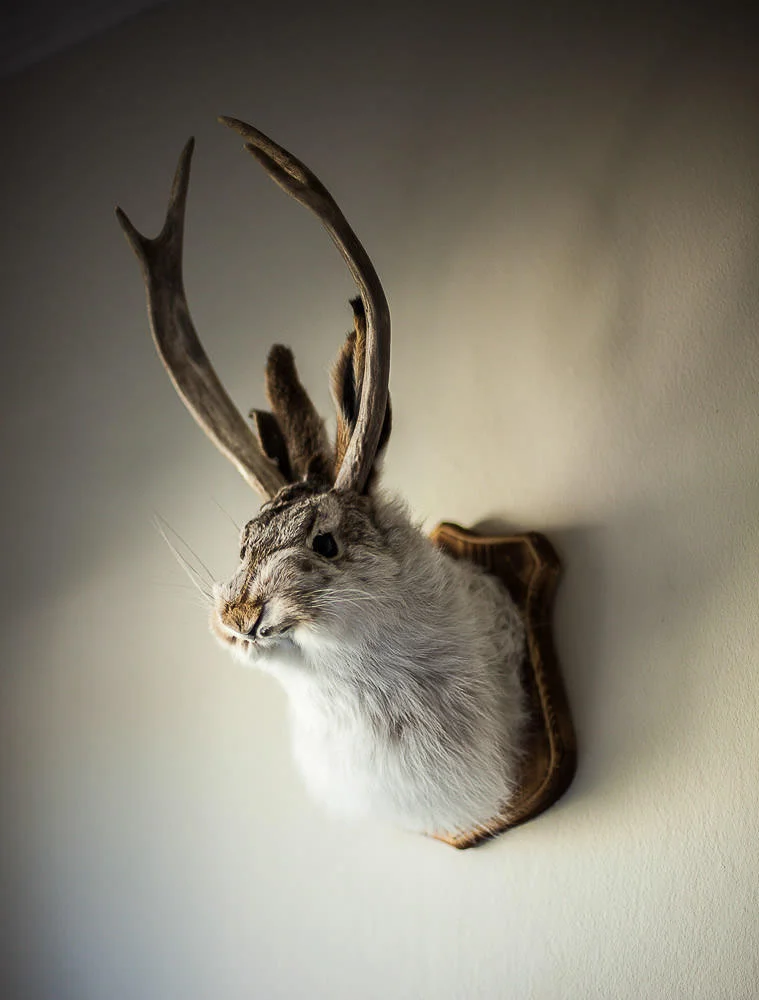 Urban Myth # 1 — Jackalope 2012 Signed Limited Edition of 20 ORDER OR INQUIRE