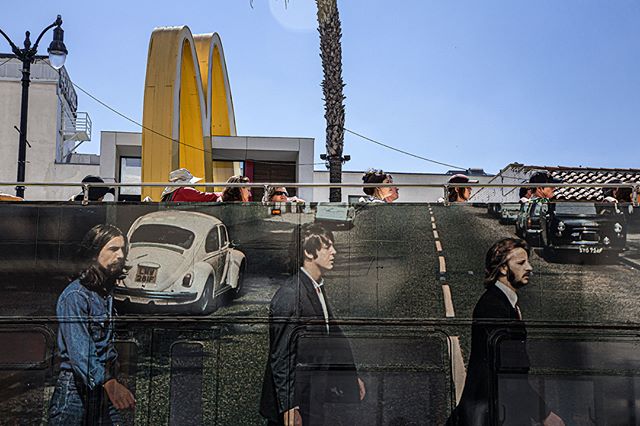 This breed, Americanus Touristus Famosus, finds itself on a pilgrimage to Hollywood, its holy mecca.  They come here to see the remnants of the shapers of their culture.
.
Here they are shown riding atop a moving example of the most sacred of them al