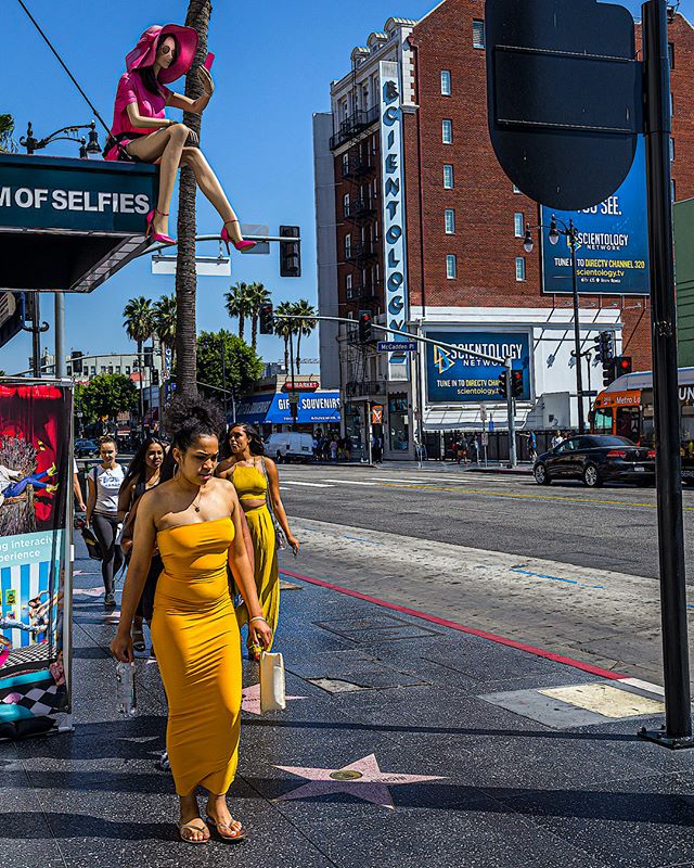 &ldquo;The Lures&rdquo; &mdash; I&rsquo;m not sure whether the fashion here is vacational or vocational. Further study is needed. I&rsquo;ll return to the Hollywood Veldt soon. Regardless of which, this plumage is obviously designed to attract. ⁣
⁣.⁣