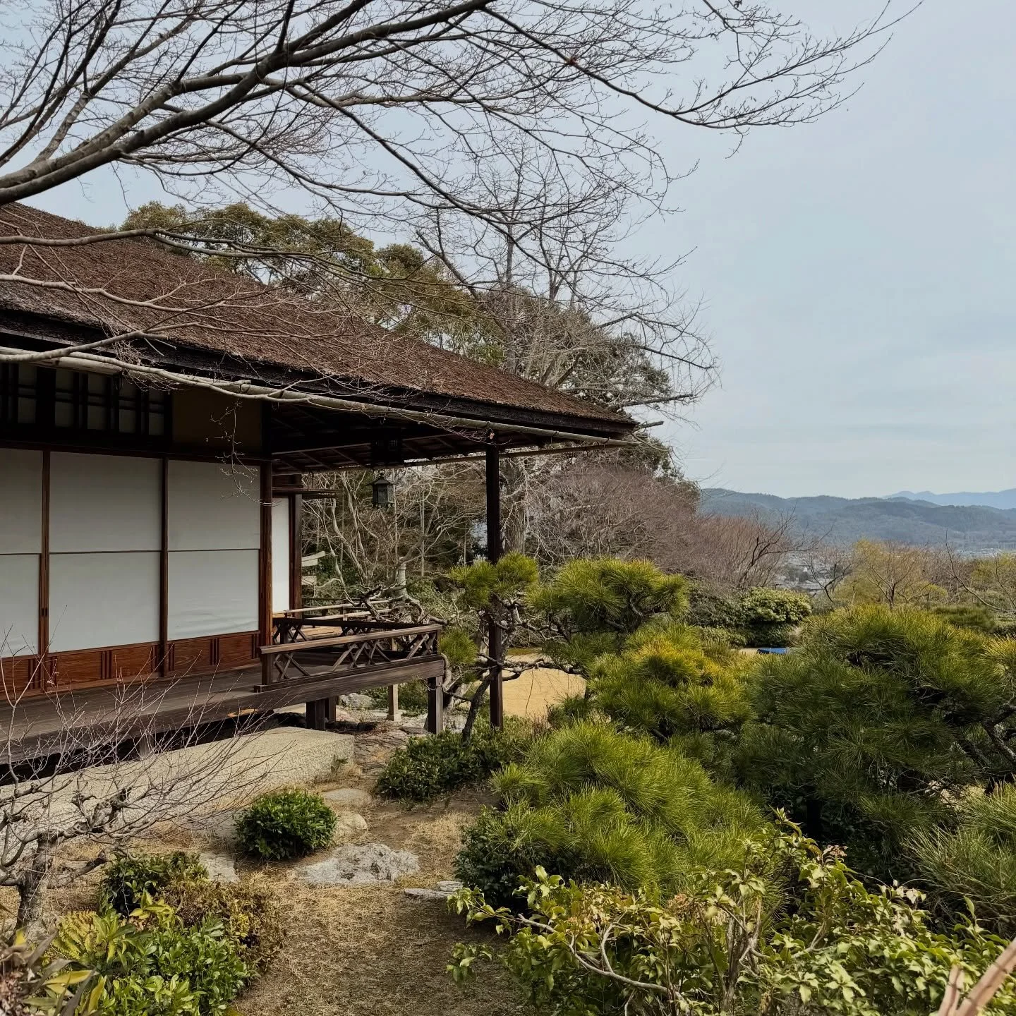 a morning in arashiyama before the rain