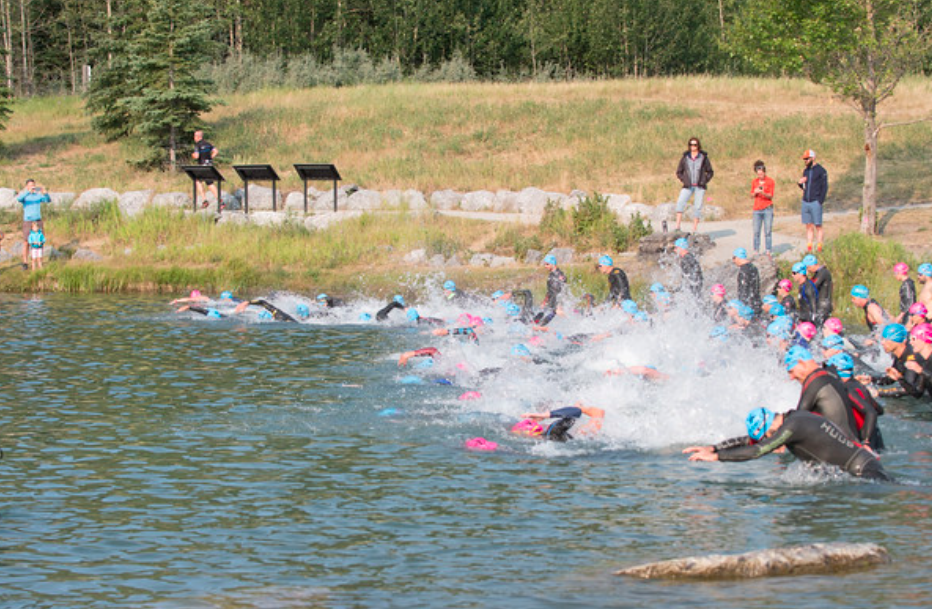 Screen Shot 2017-08-10 at 3.51.19 PM.png