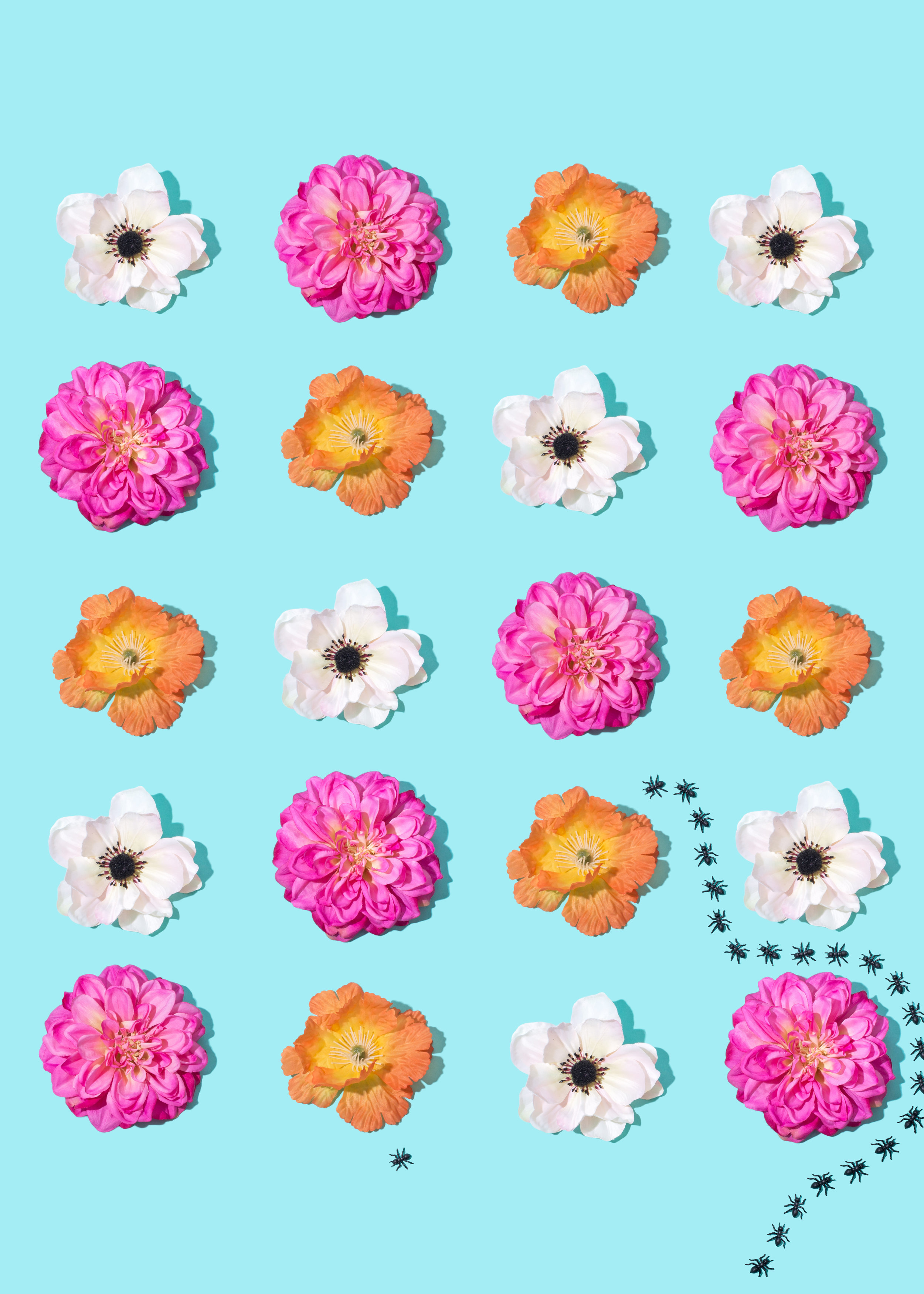 Sweet Smell Of Summer (With Ants) // to download, hover and save.