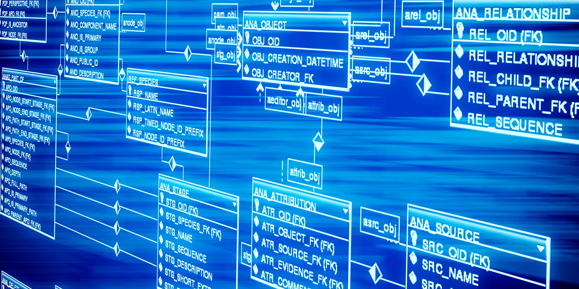 database-development.jpg