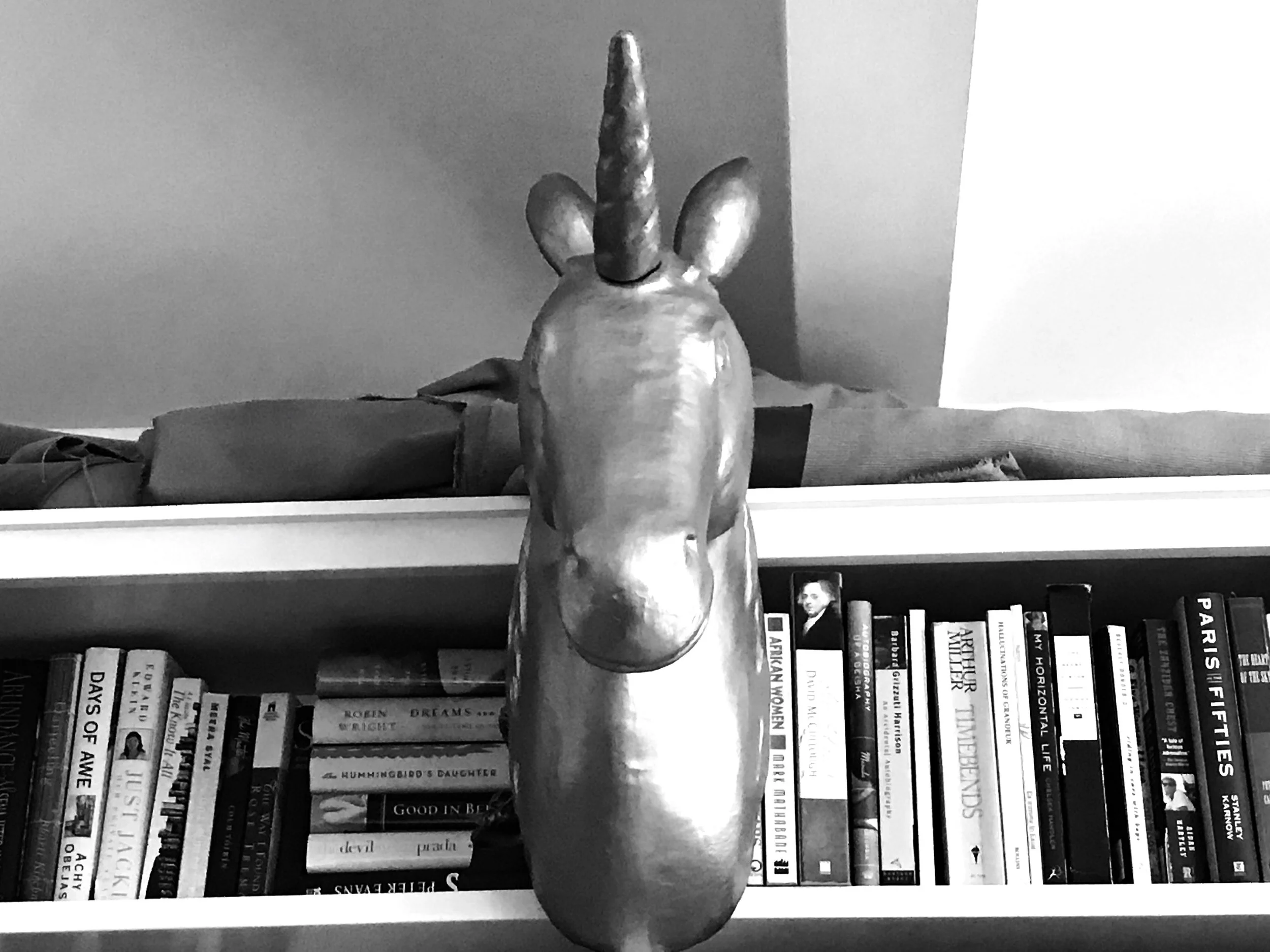 Teaching Among the Unicorns and Cannonballs 