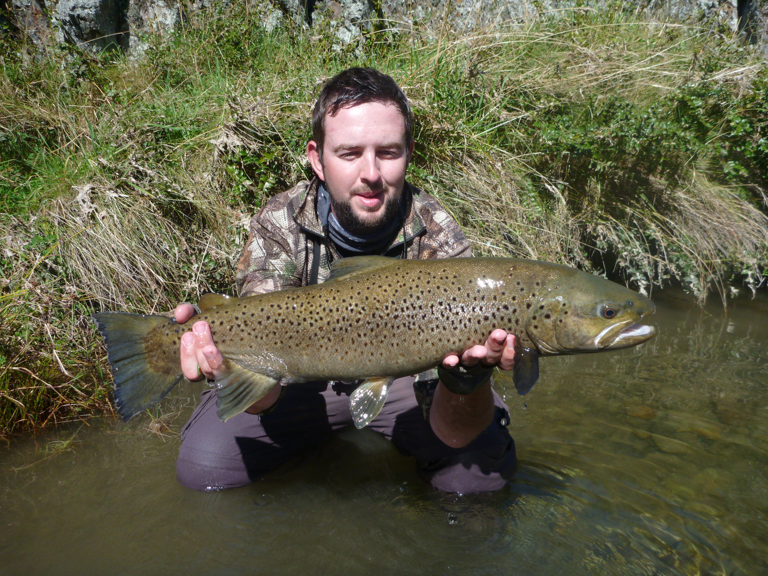 Fly fishing New Zealand for trophy brown trout