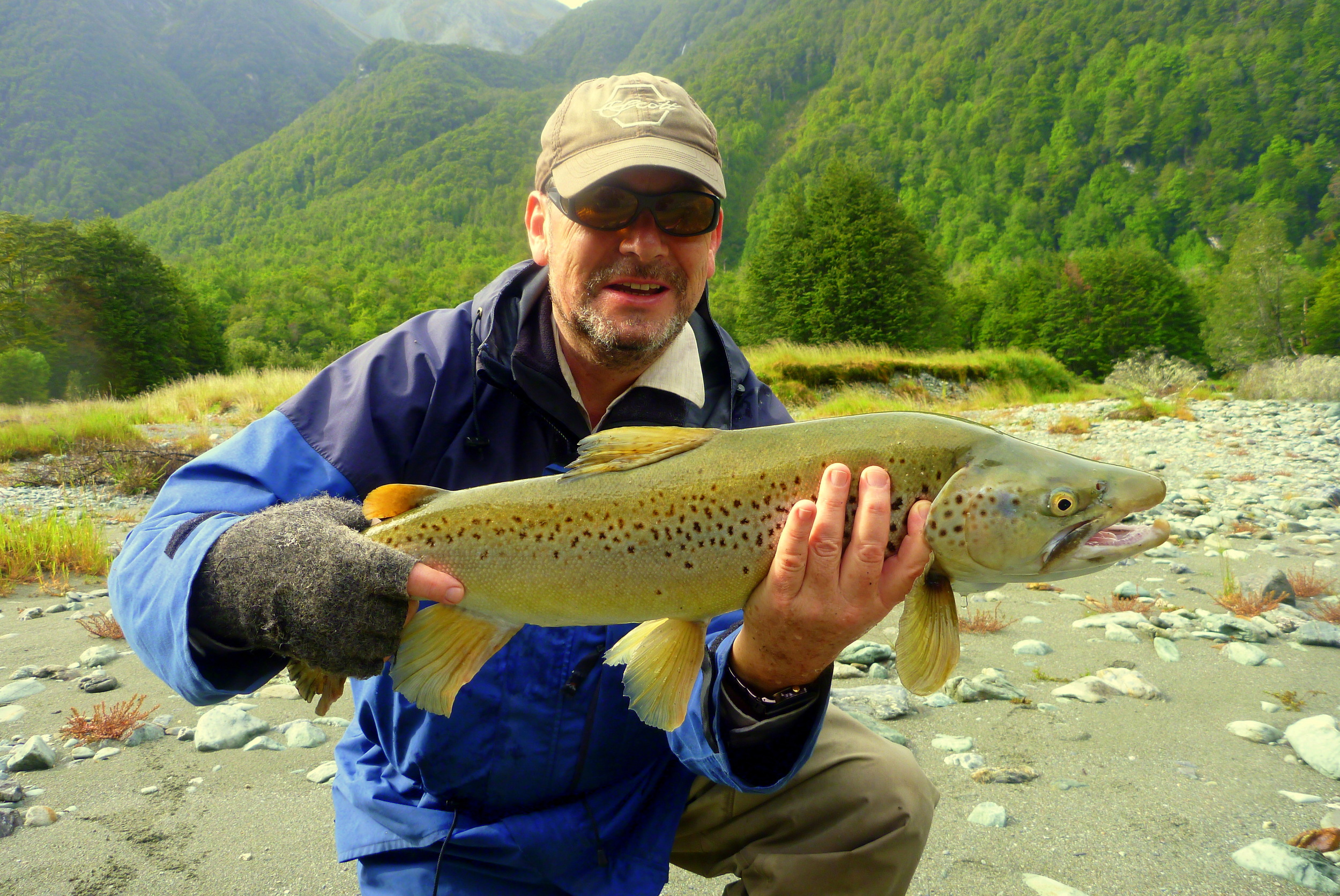South Westland trophy brown trout.